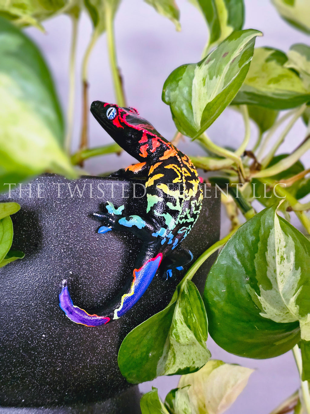Black Rainbow Crested Gecko Pot Pal