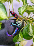 Black Rainbow Crested Gecko Pot Pal