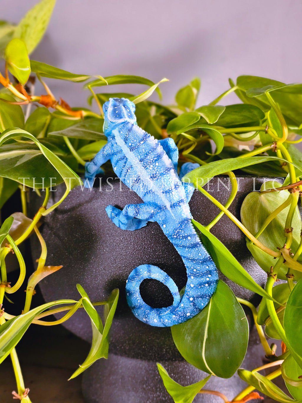 Blue 'Nosy Be' Panther Chameleon Pot Pal