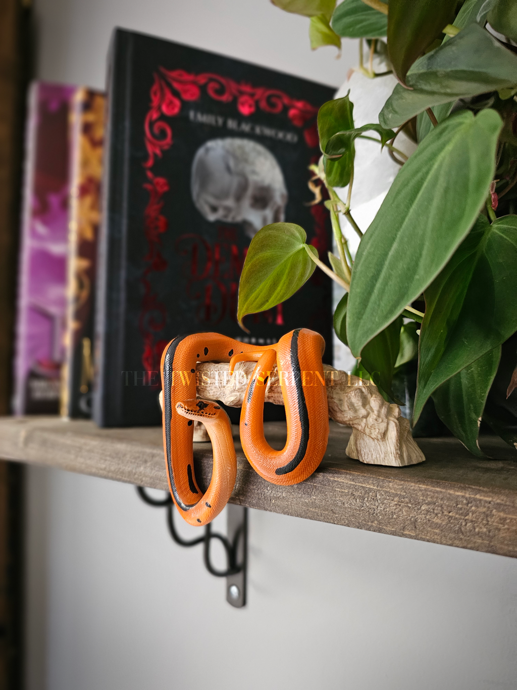 Bookshelf Mount