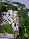 Bumblebee Ball Python Pot Pal
