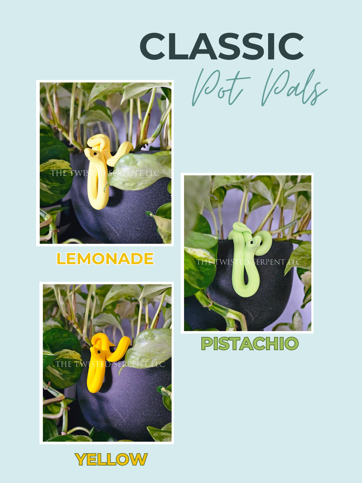 Classic Pot Pals