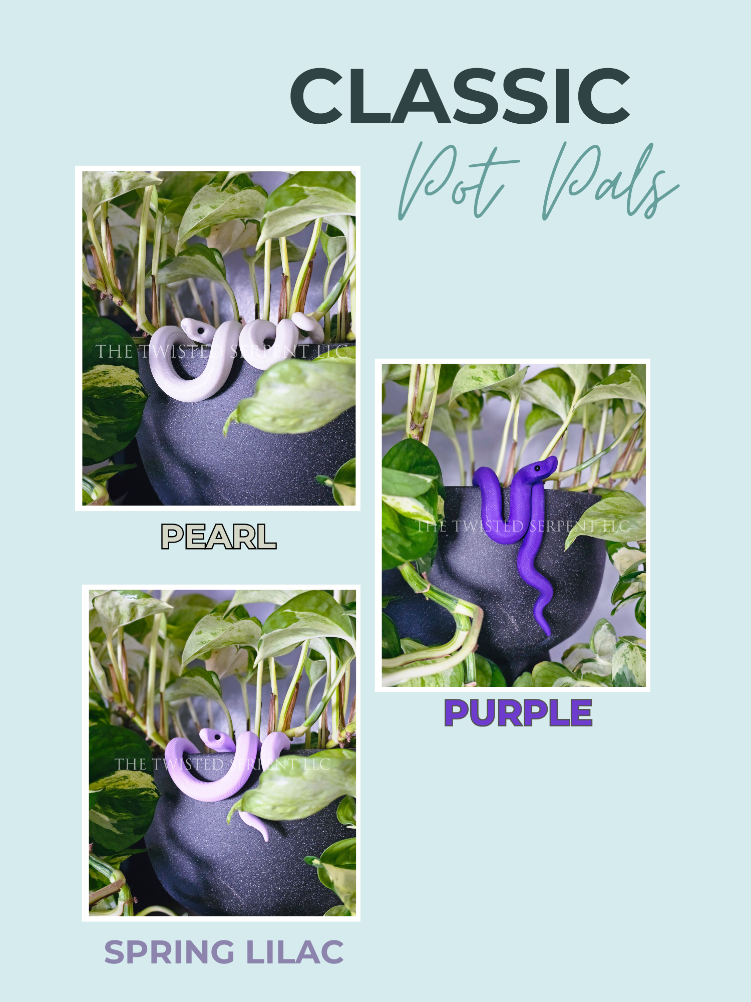 Classic Pot Pals