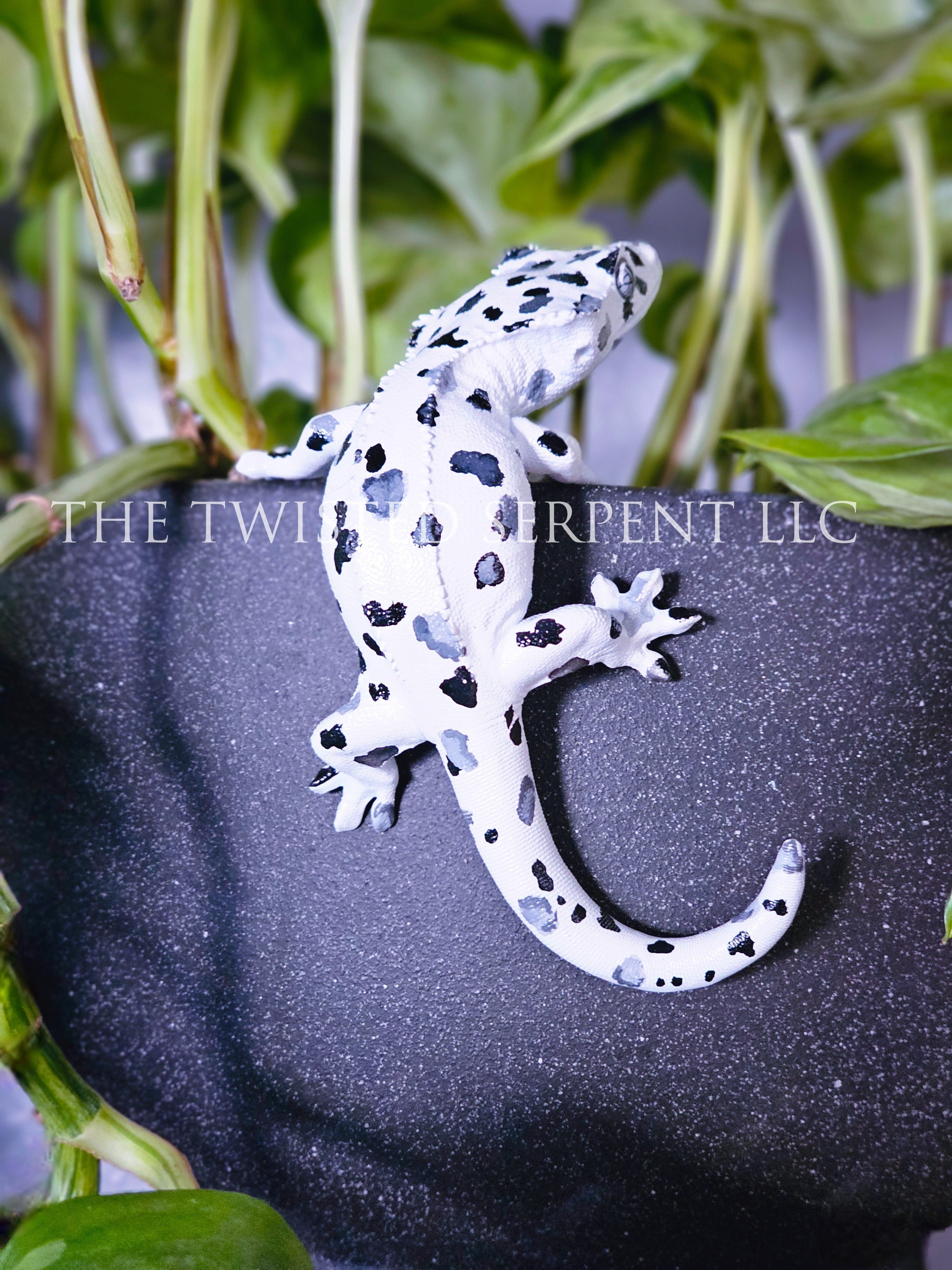 Dalmatian Crested Gecko Pot Pal