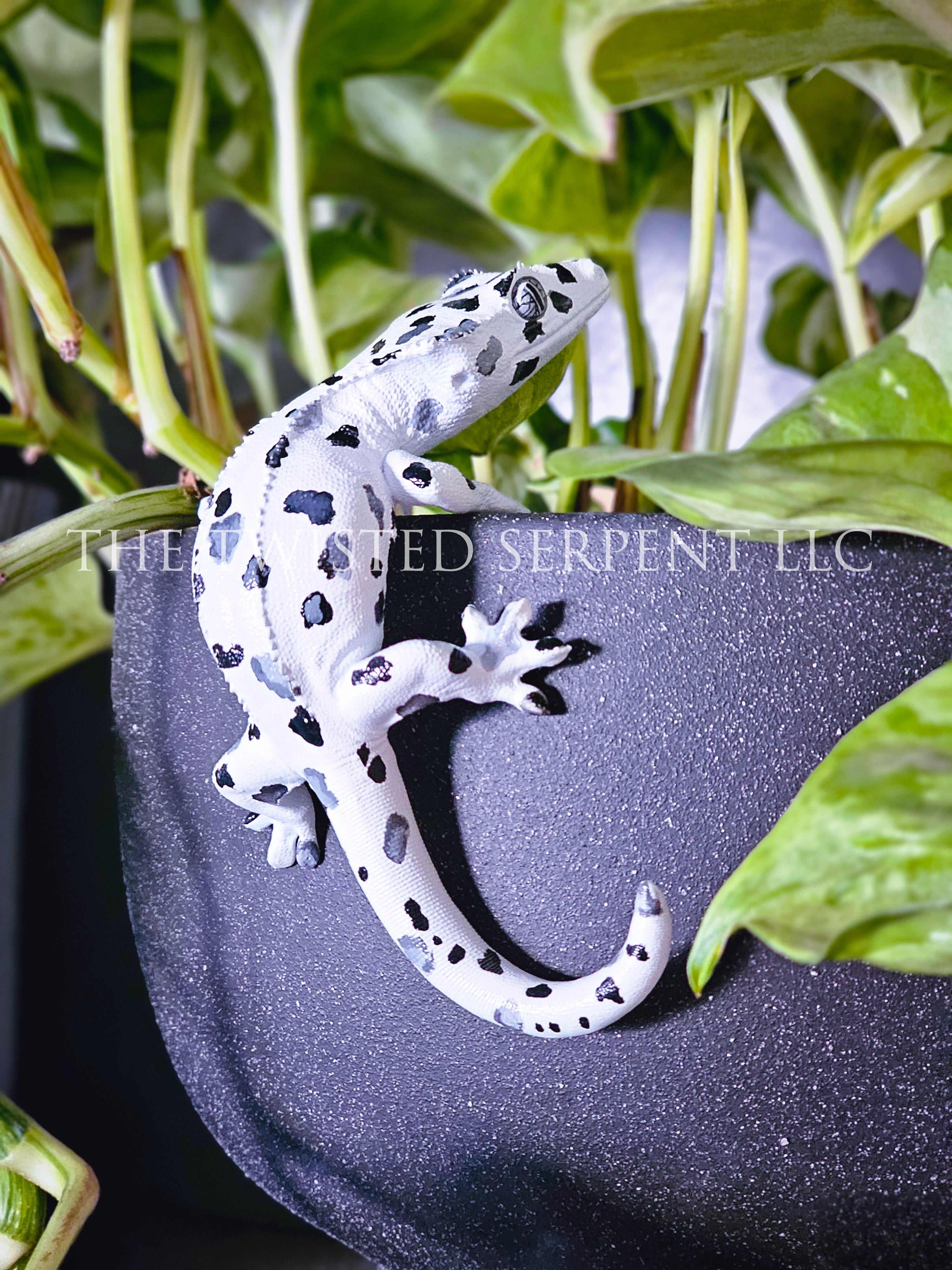 Dalmatian Crested Gecko Pot Pal