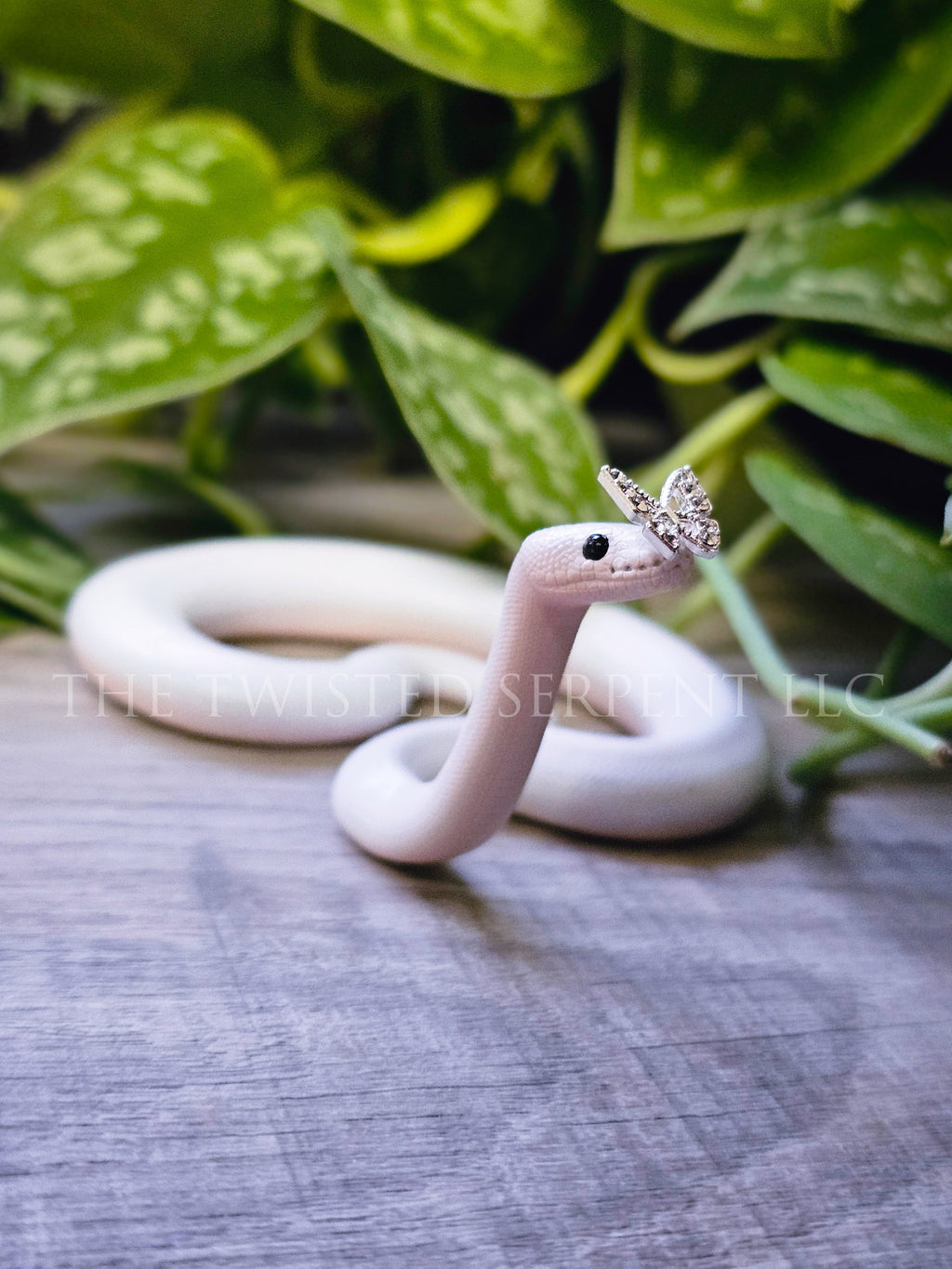 Flutter - Butterfly Ball Python Tabletop