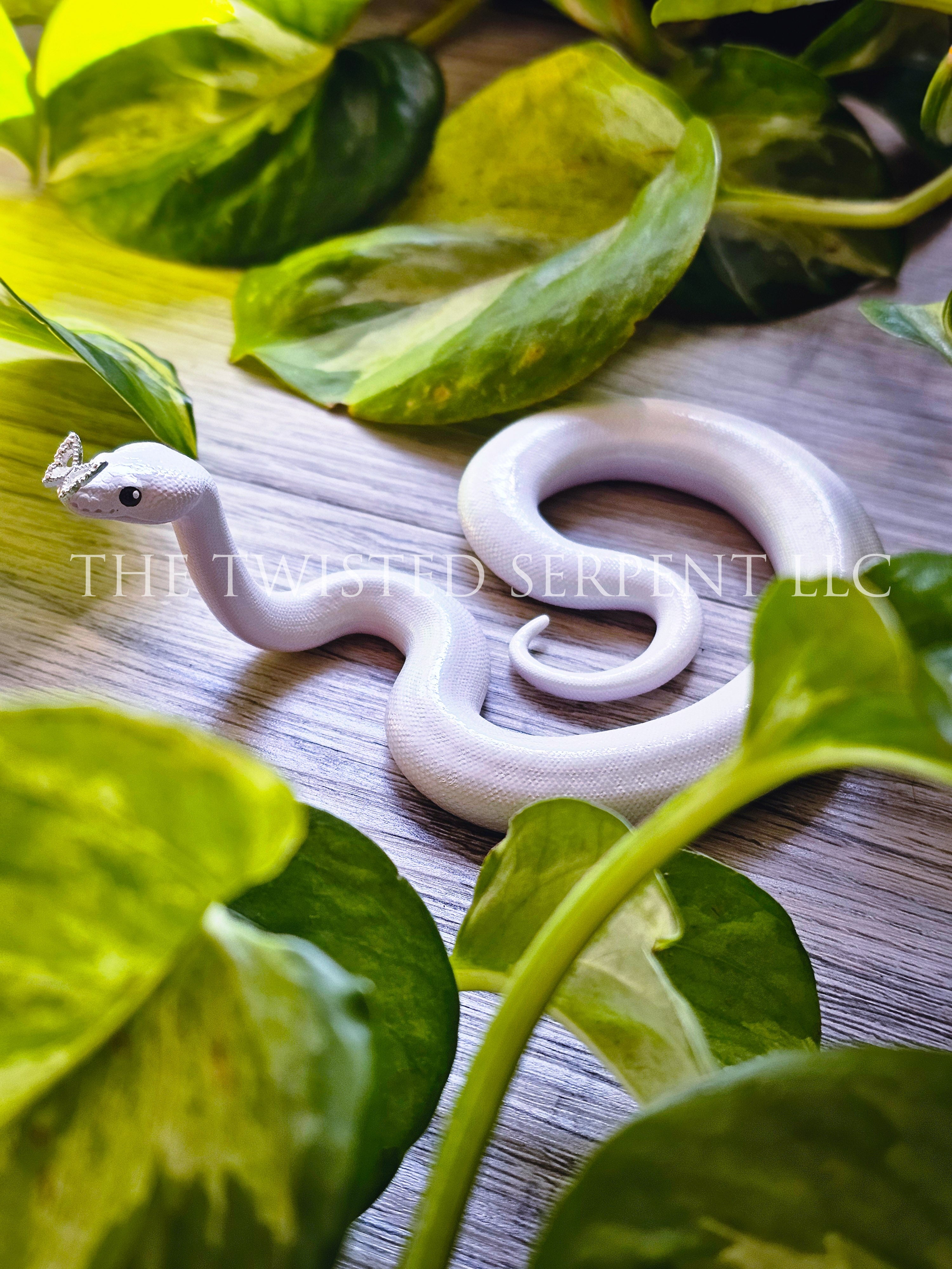 Flutter - Butterfly Ball Python Tabletop