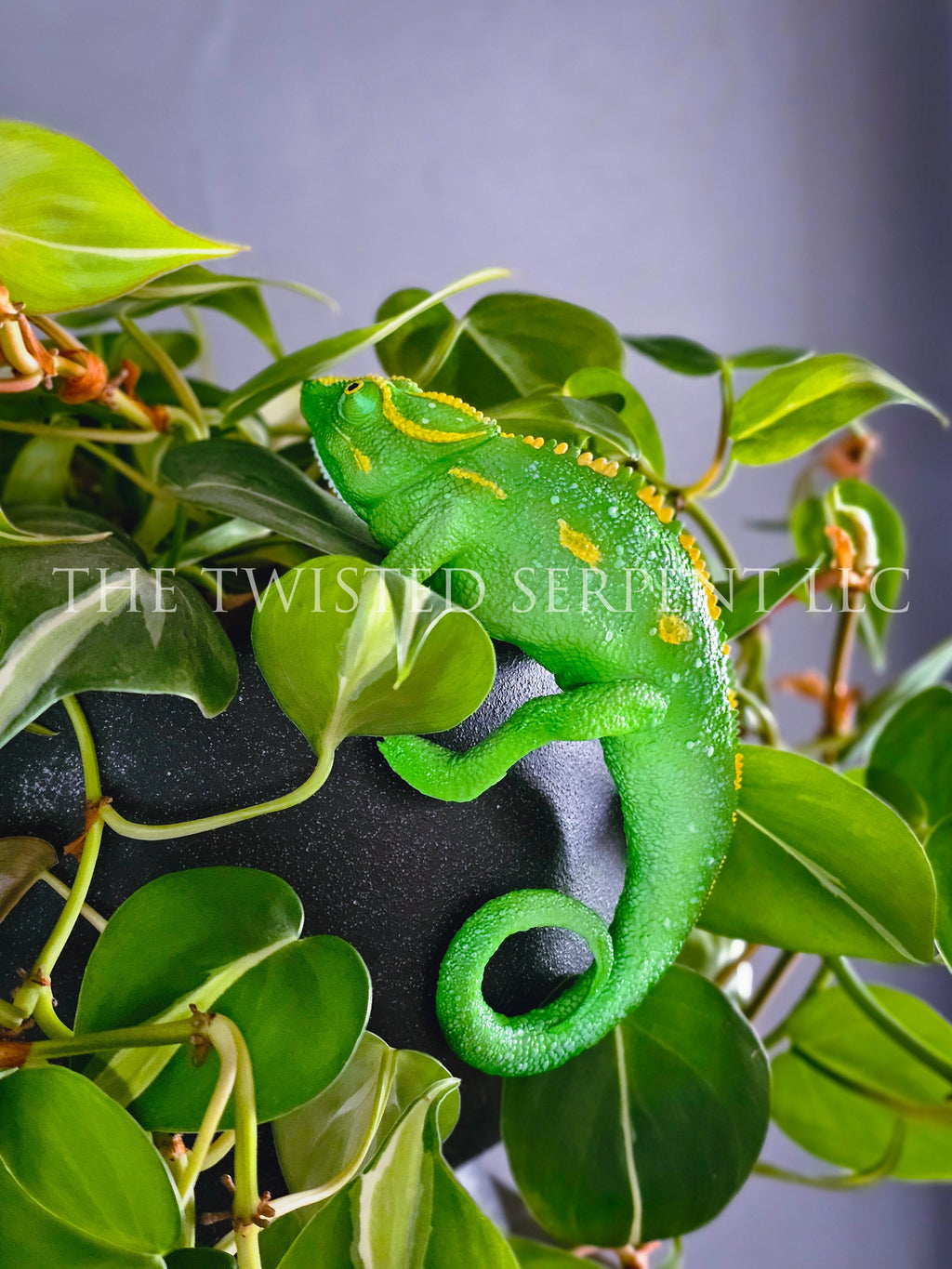 Jungle Green Panther Chameleon Pot Pal