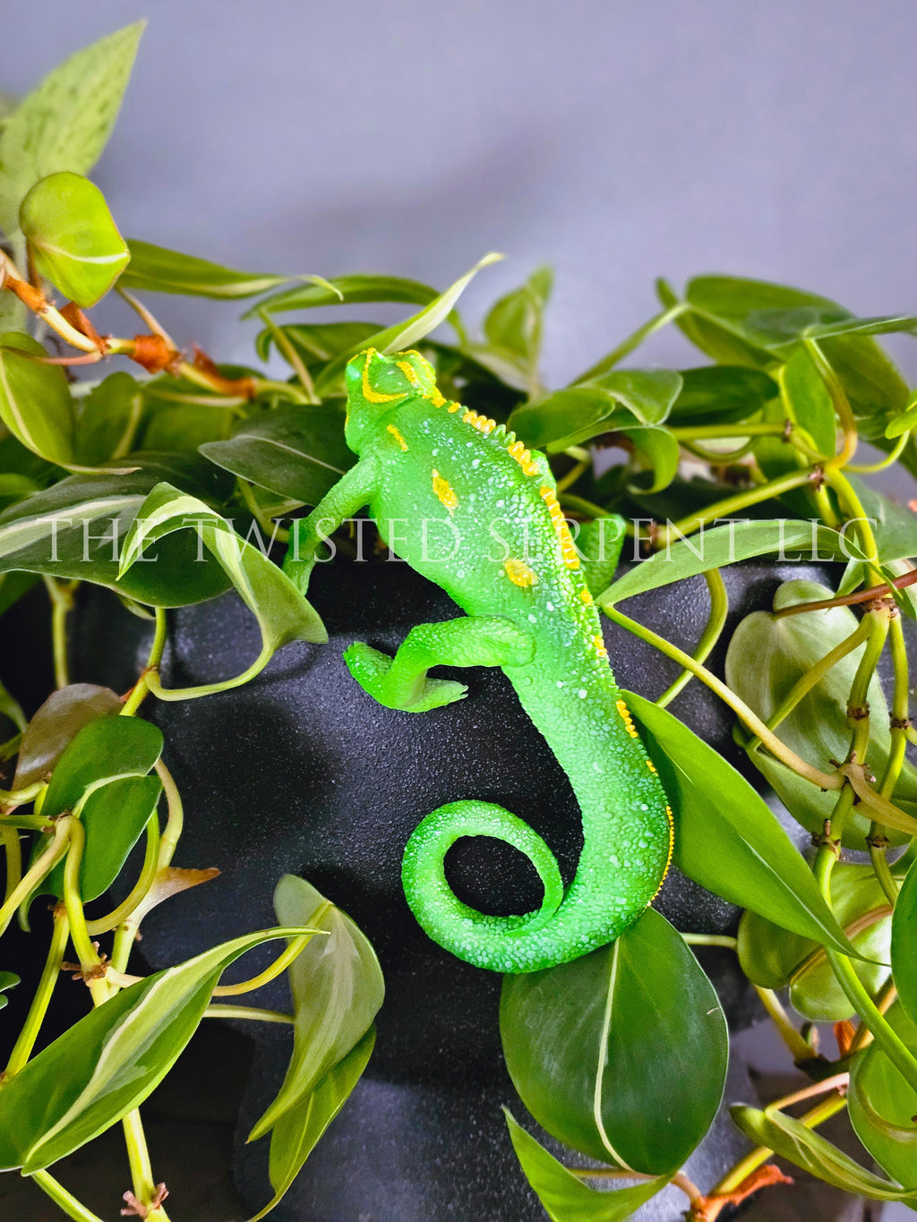 Jungle Green Panther Chameleon Pot Pal