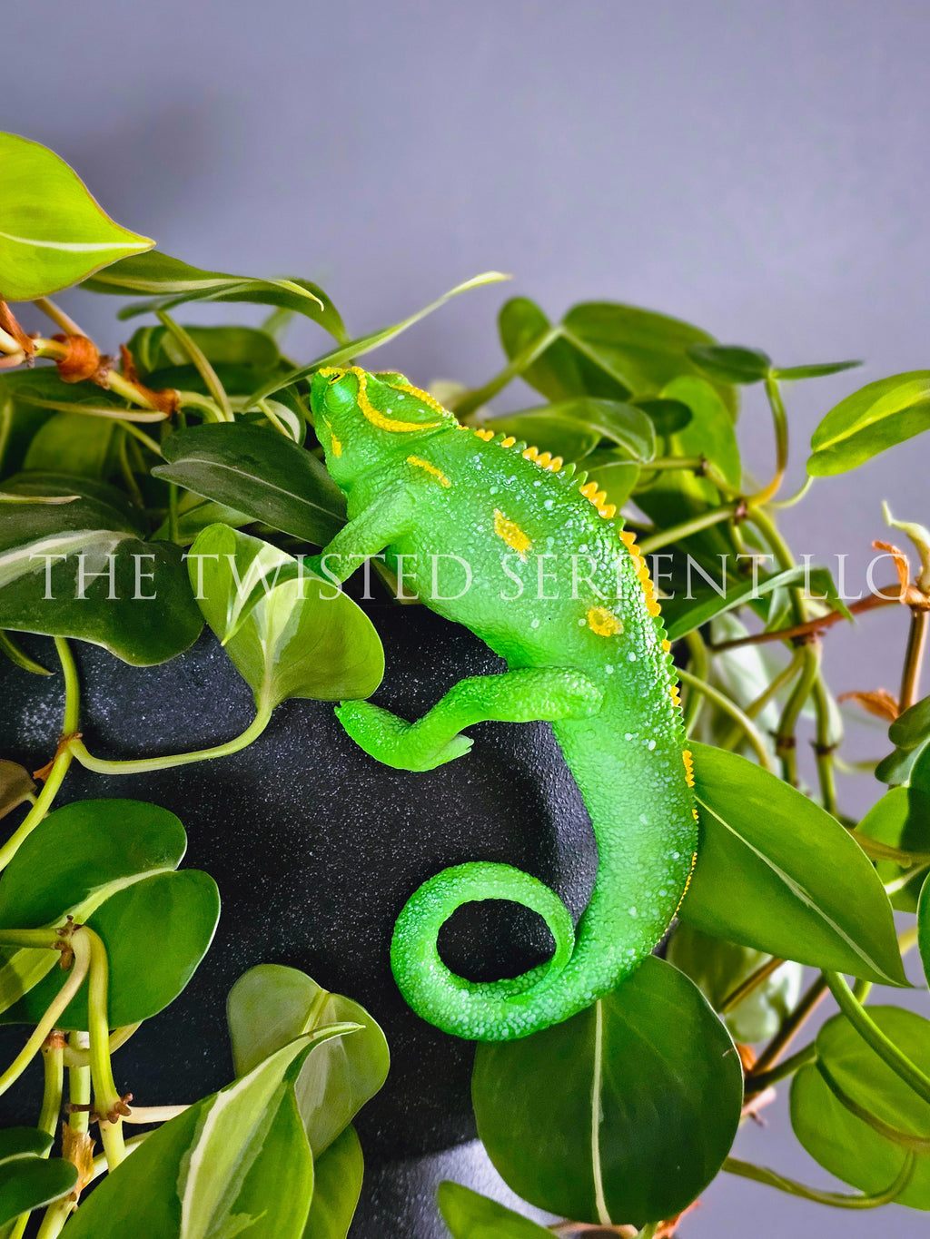 Jungle Green Panther Chameleon Pot Pal