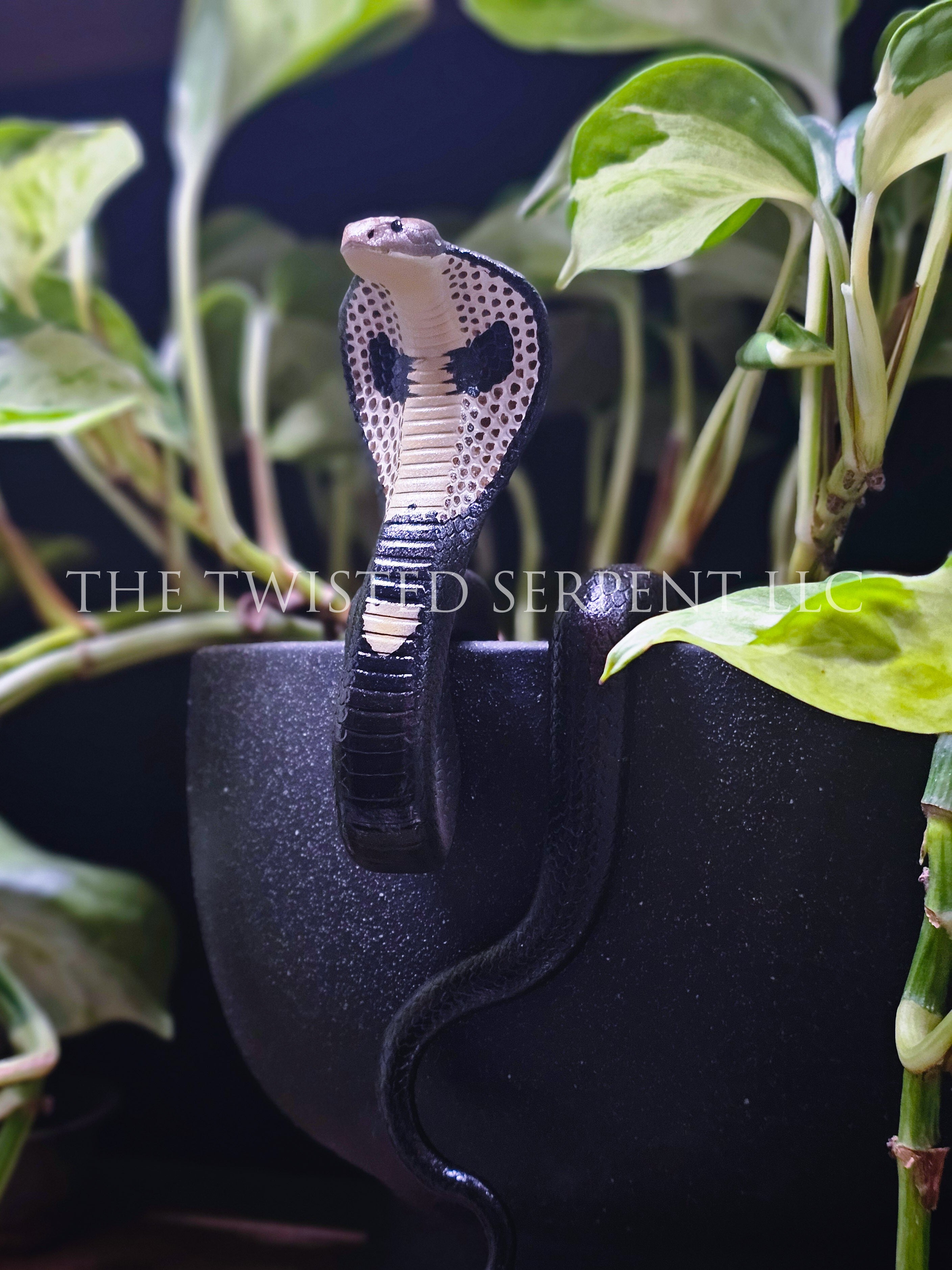 King Cobra Pot Pal