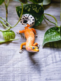 Leopard Gecko Tabletop