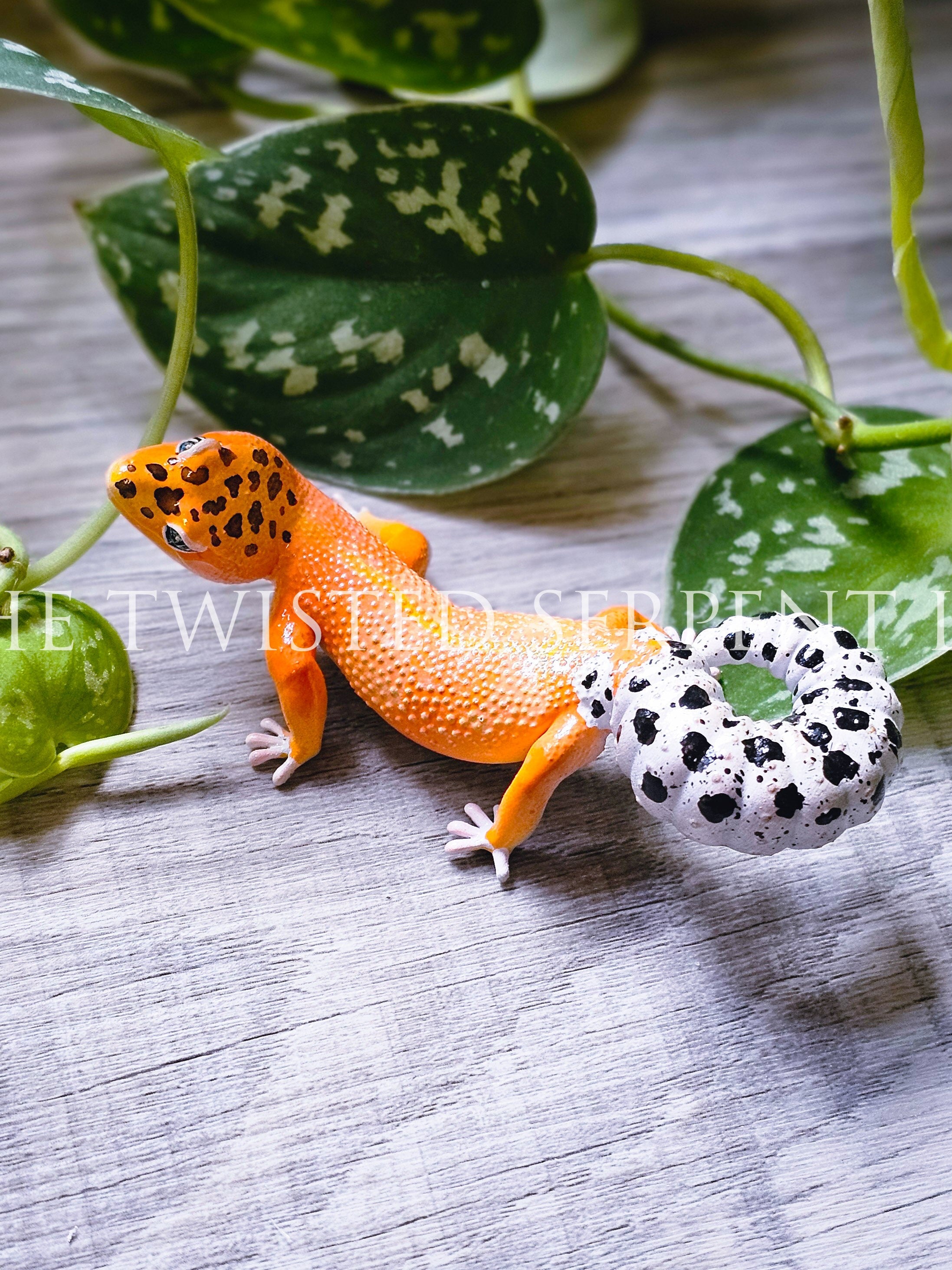 Leopard Gecko Tabletop