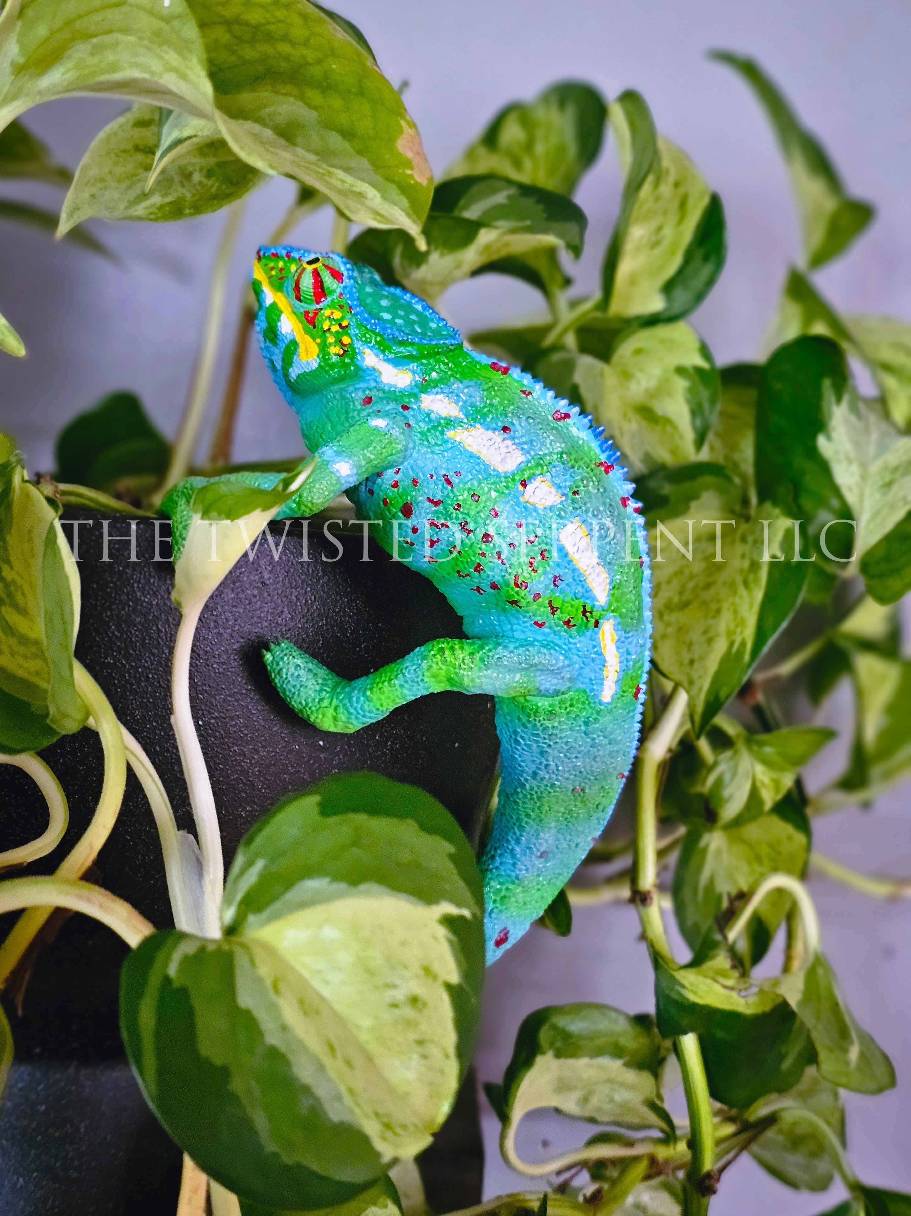 Madagascar Panther Chameleon Pot Pal