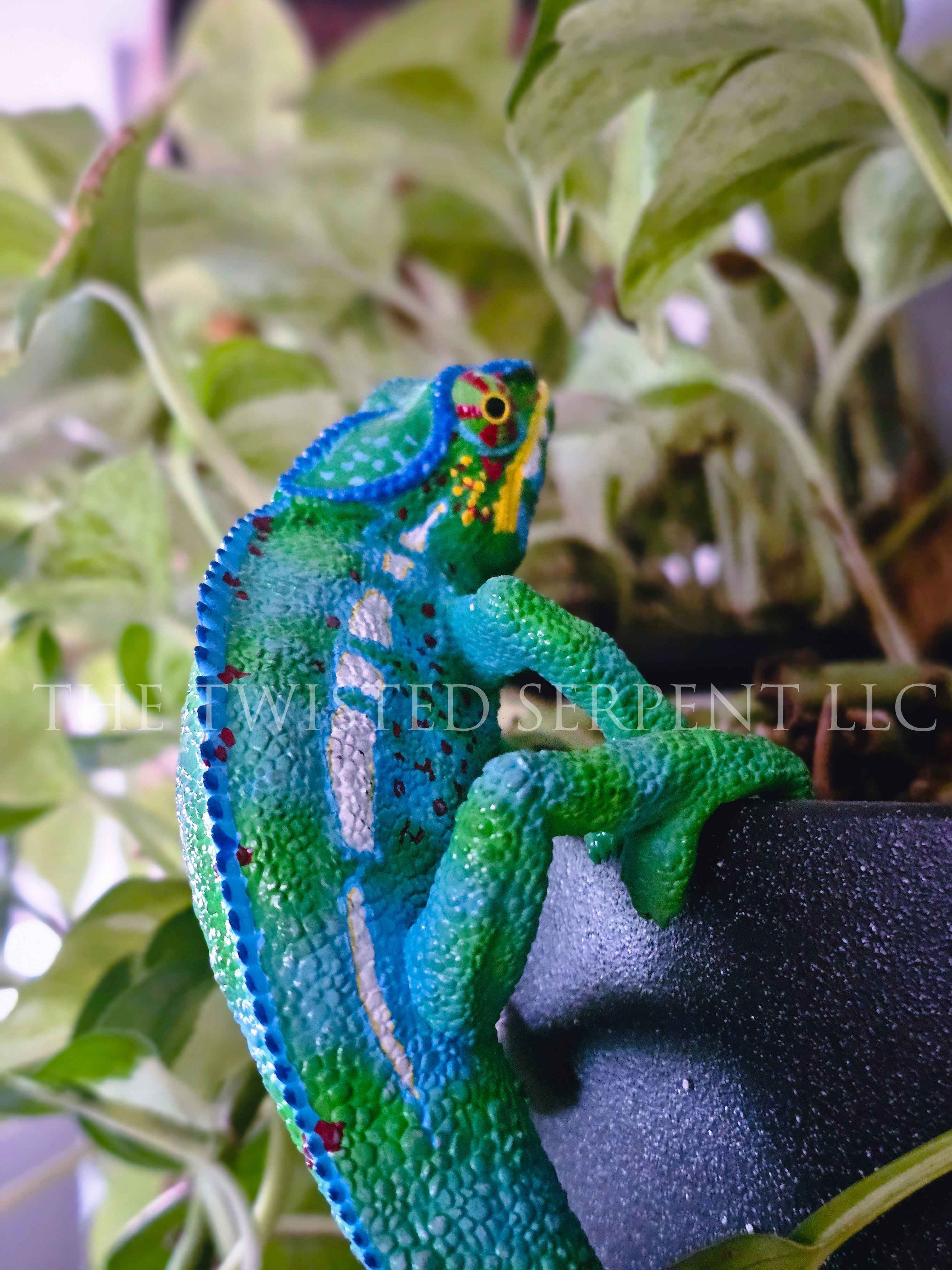 Madagascar Panther Chameleon Pot Pal