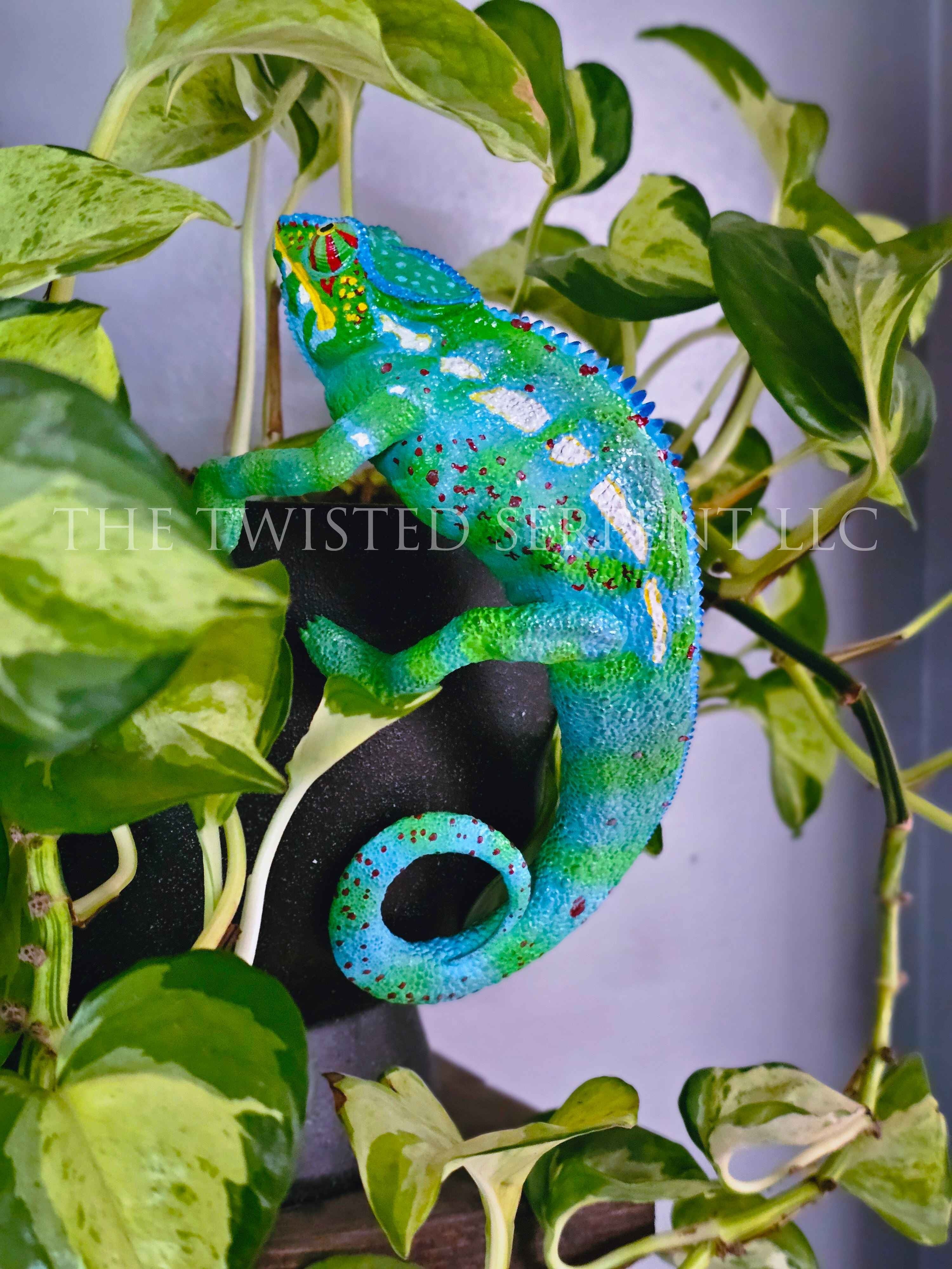 Madagascar Panther Chameleon Pot Pal
