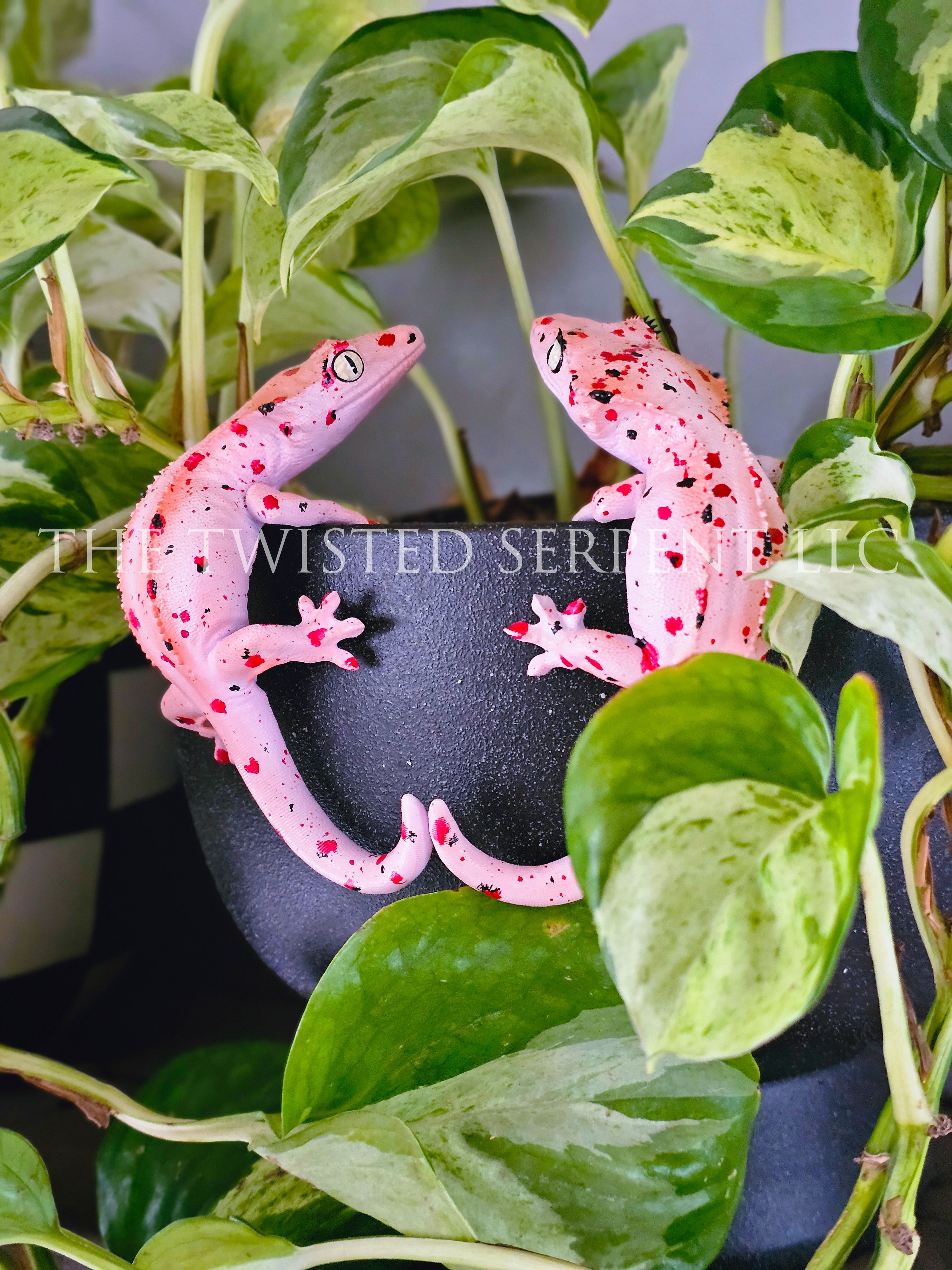 Mardi Gras Crested Gecko Pot Pal