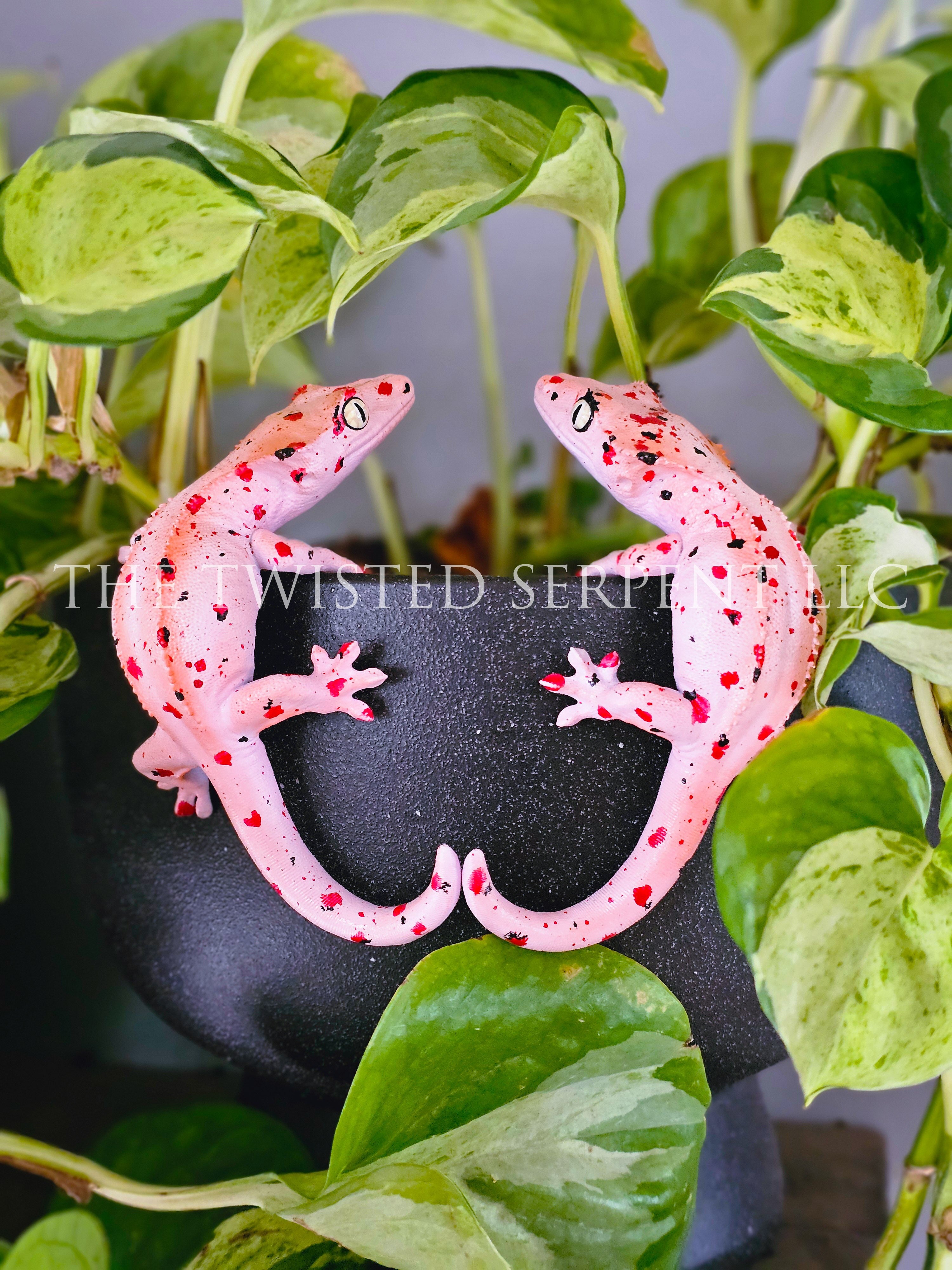 Mardi Gras Crested Gecko Pot Pal