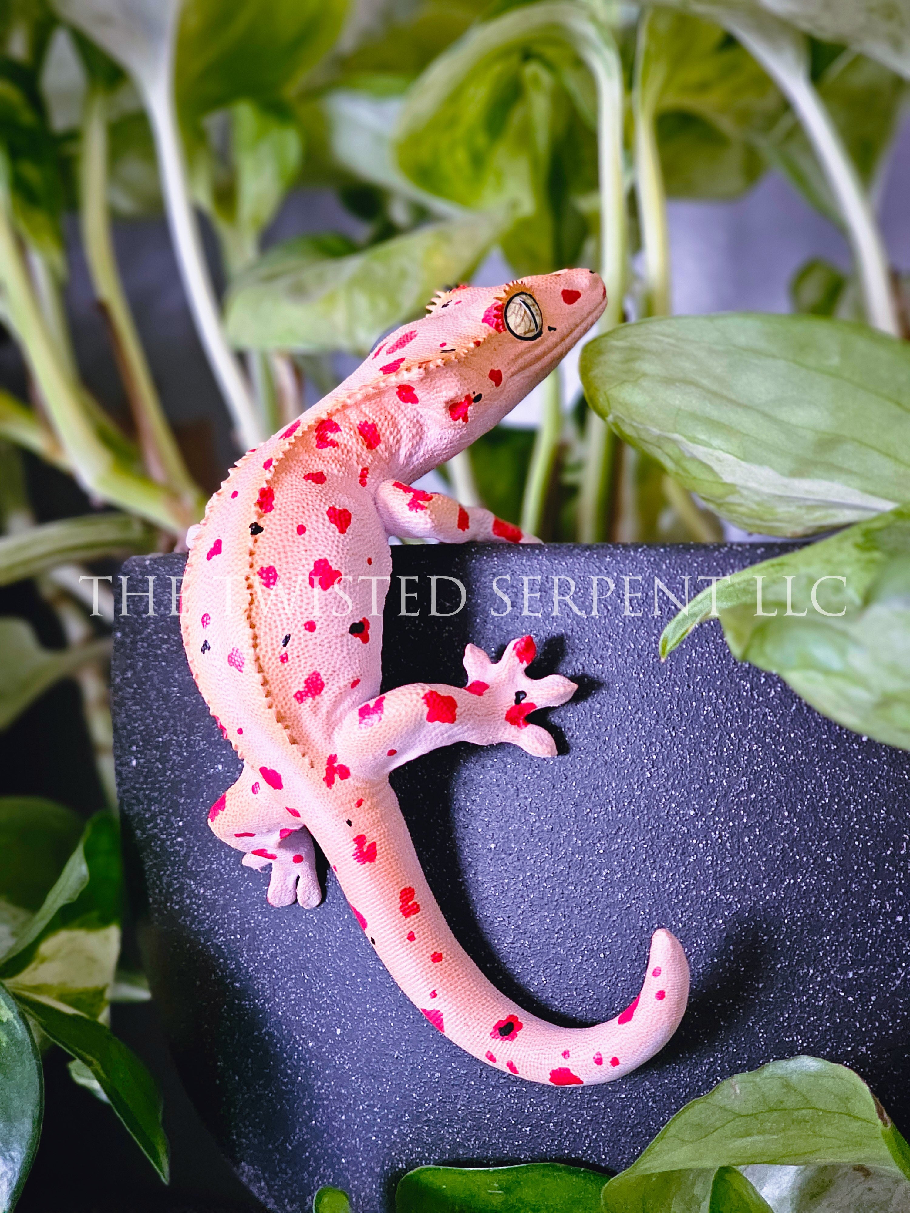 Mardi Gras Crested Gecko Pot Pal