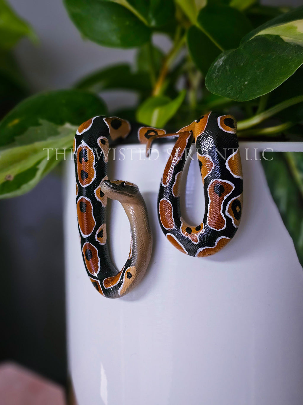 Normal Ball Python Pot Pal