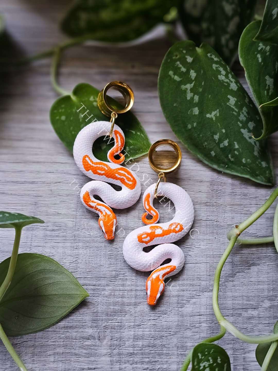 Ball Python Gauges