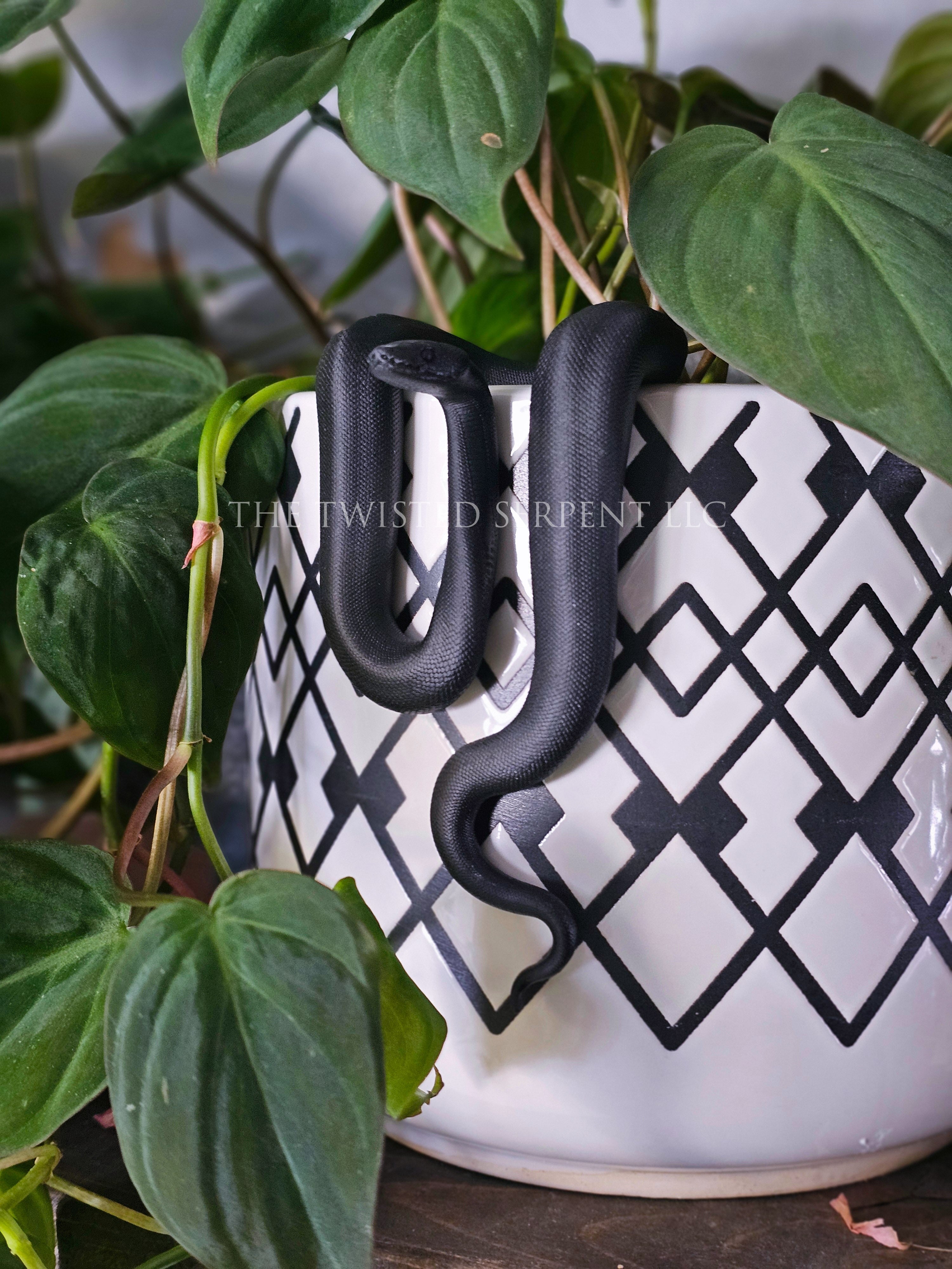 Paint-It-Yourself Ball Python Pot Pal