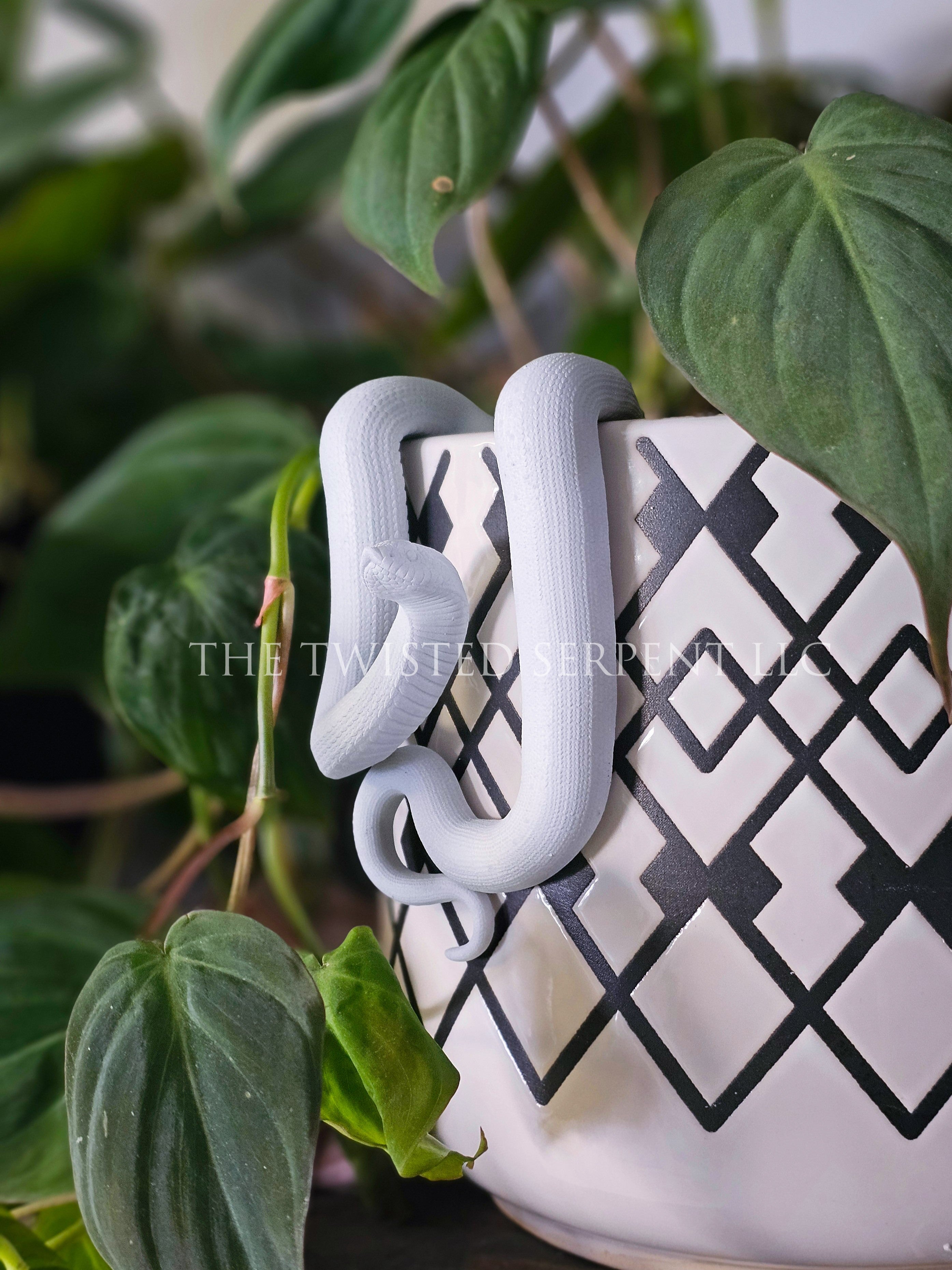 Paint-It-Yourself Hognose Pot Pal
