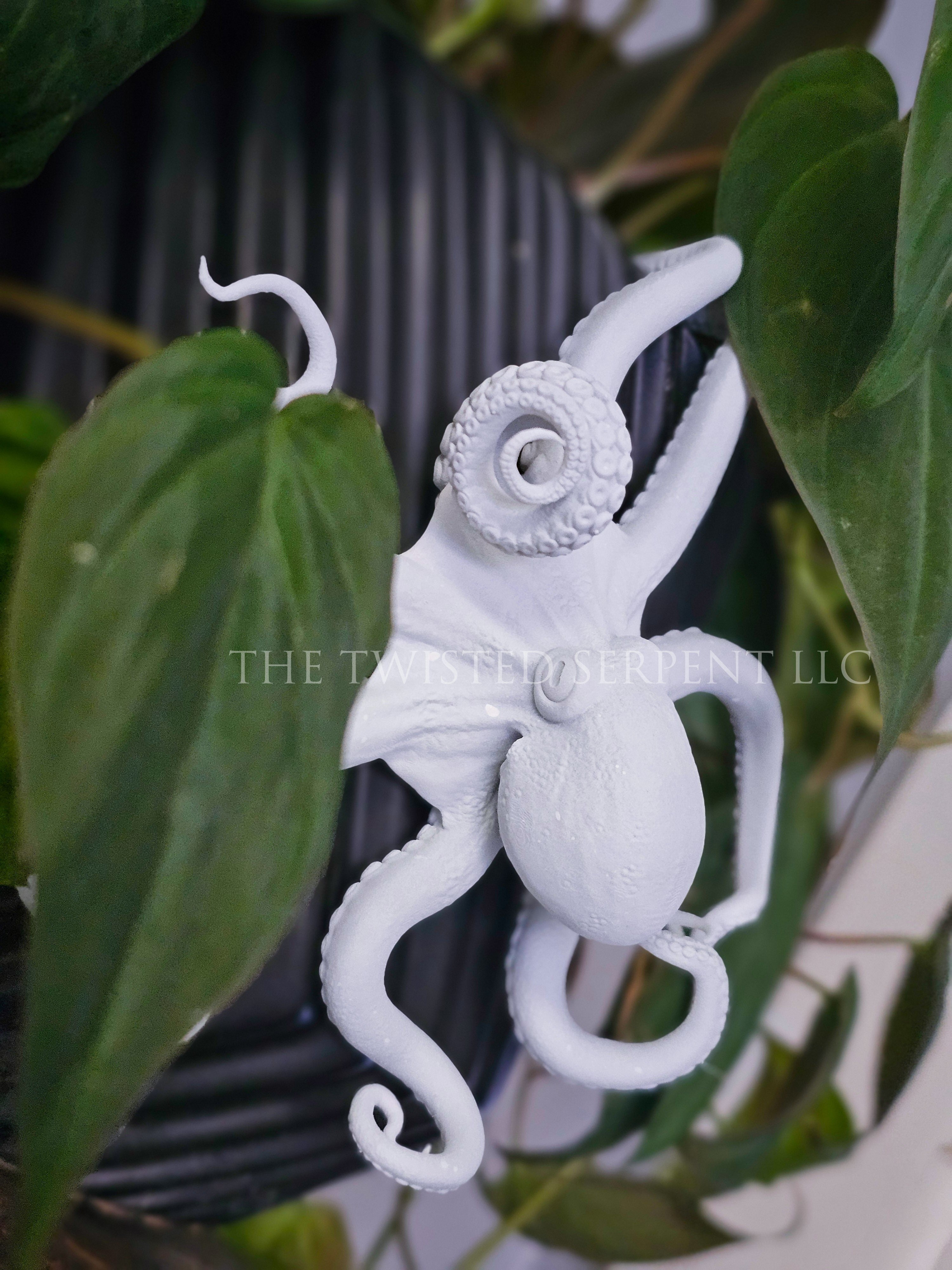 Paint-It-Yourself Octopi Pot Pal