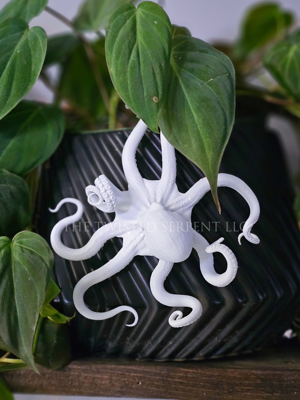 Paint-It-Yourself Octopi Pot Pal