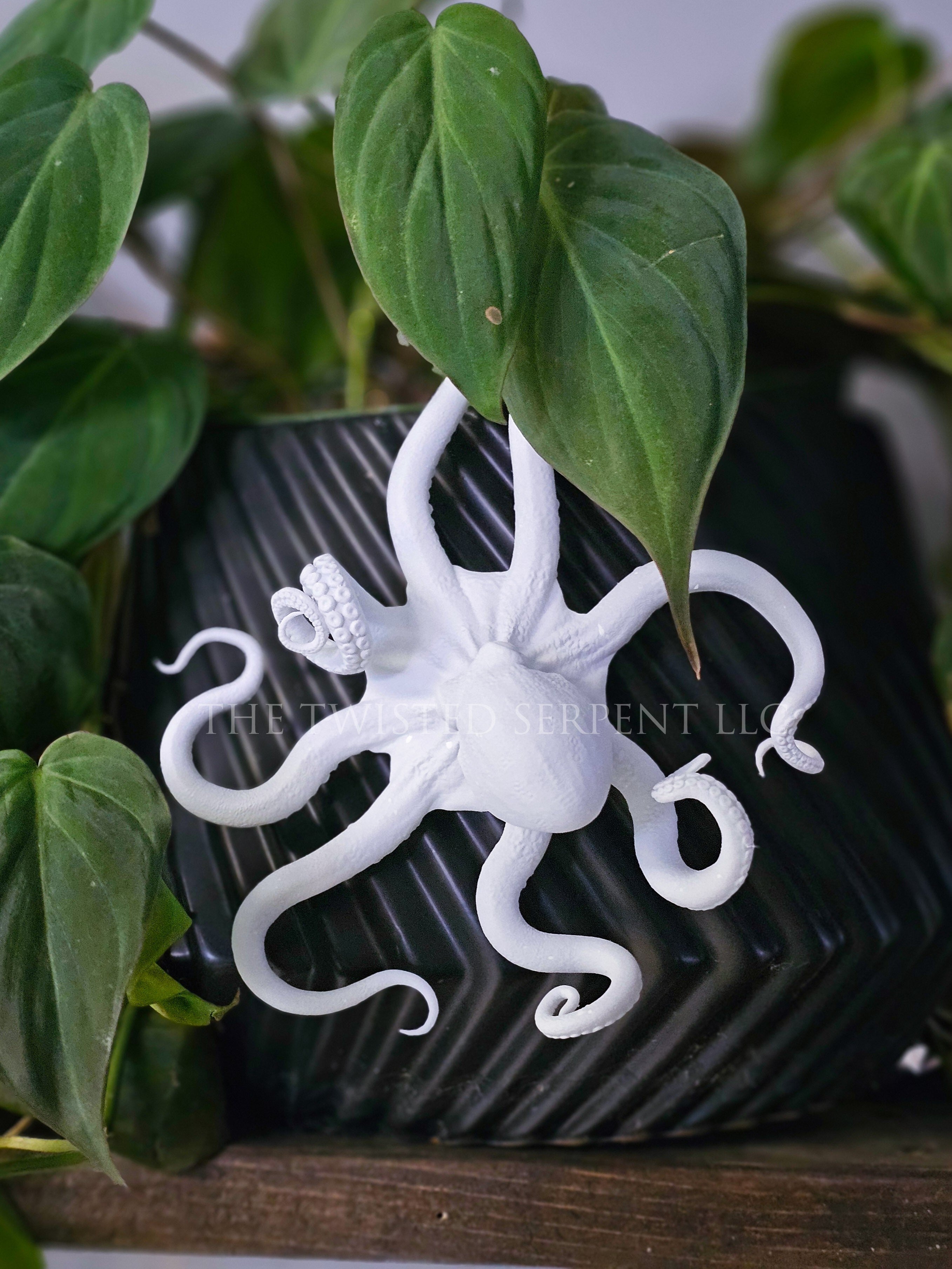 Paint-It-Yourself Octopi Pot Pal