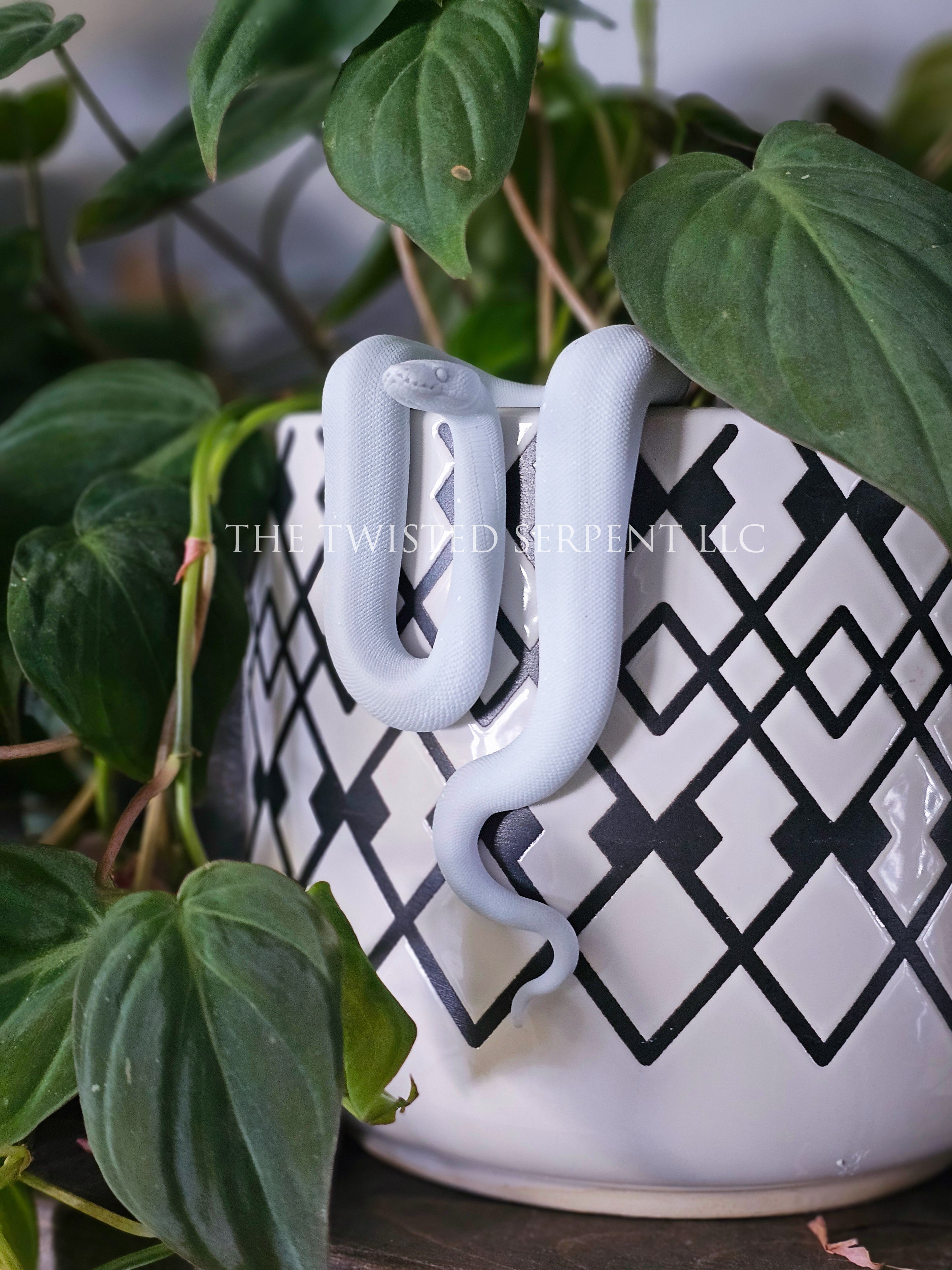 Paint-It-Yourself Ball Python Pot Pal