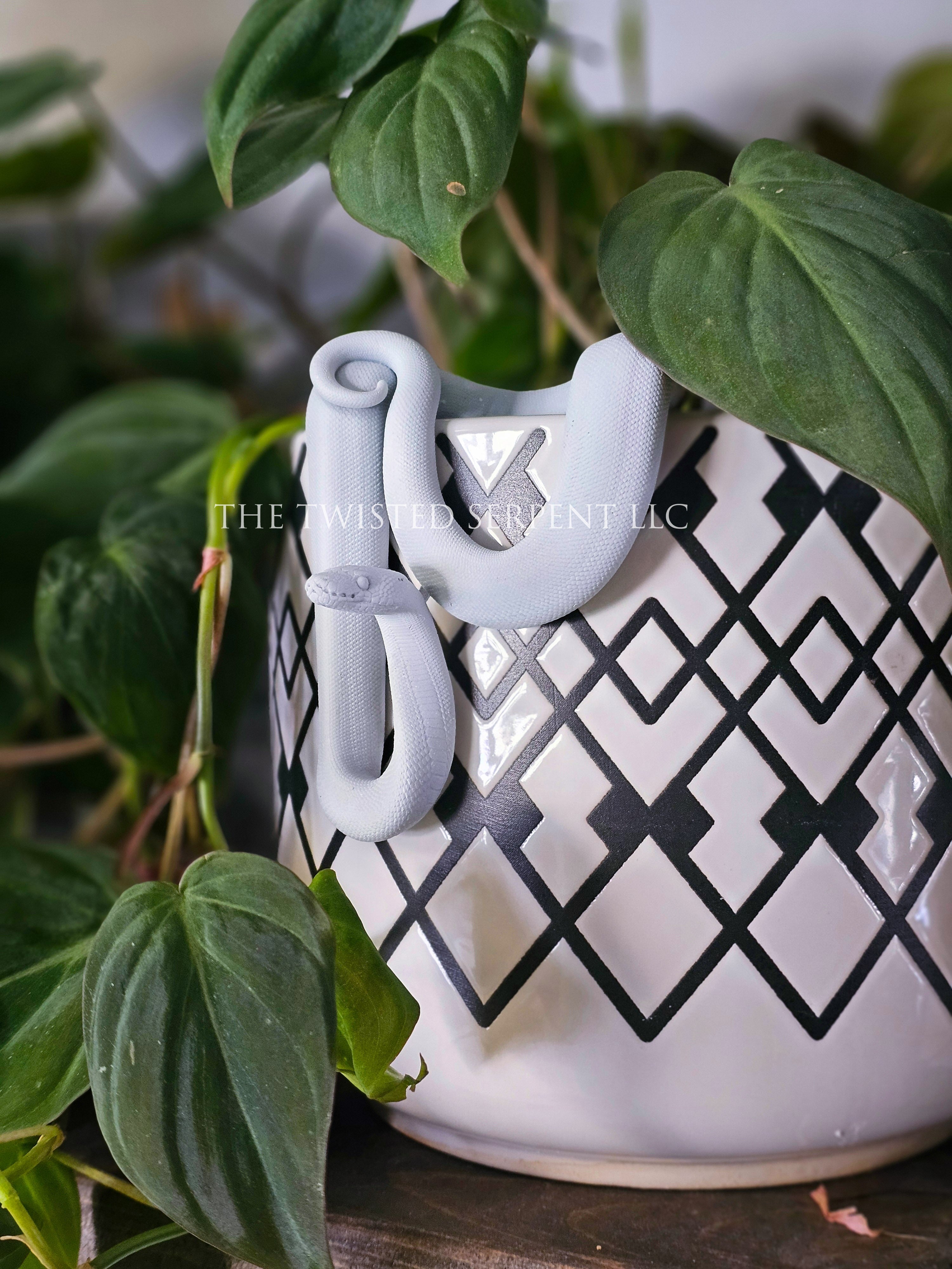Paint-It-Yourself Ball Python Pot Pal