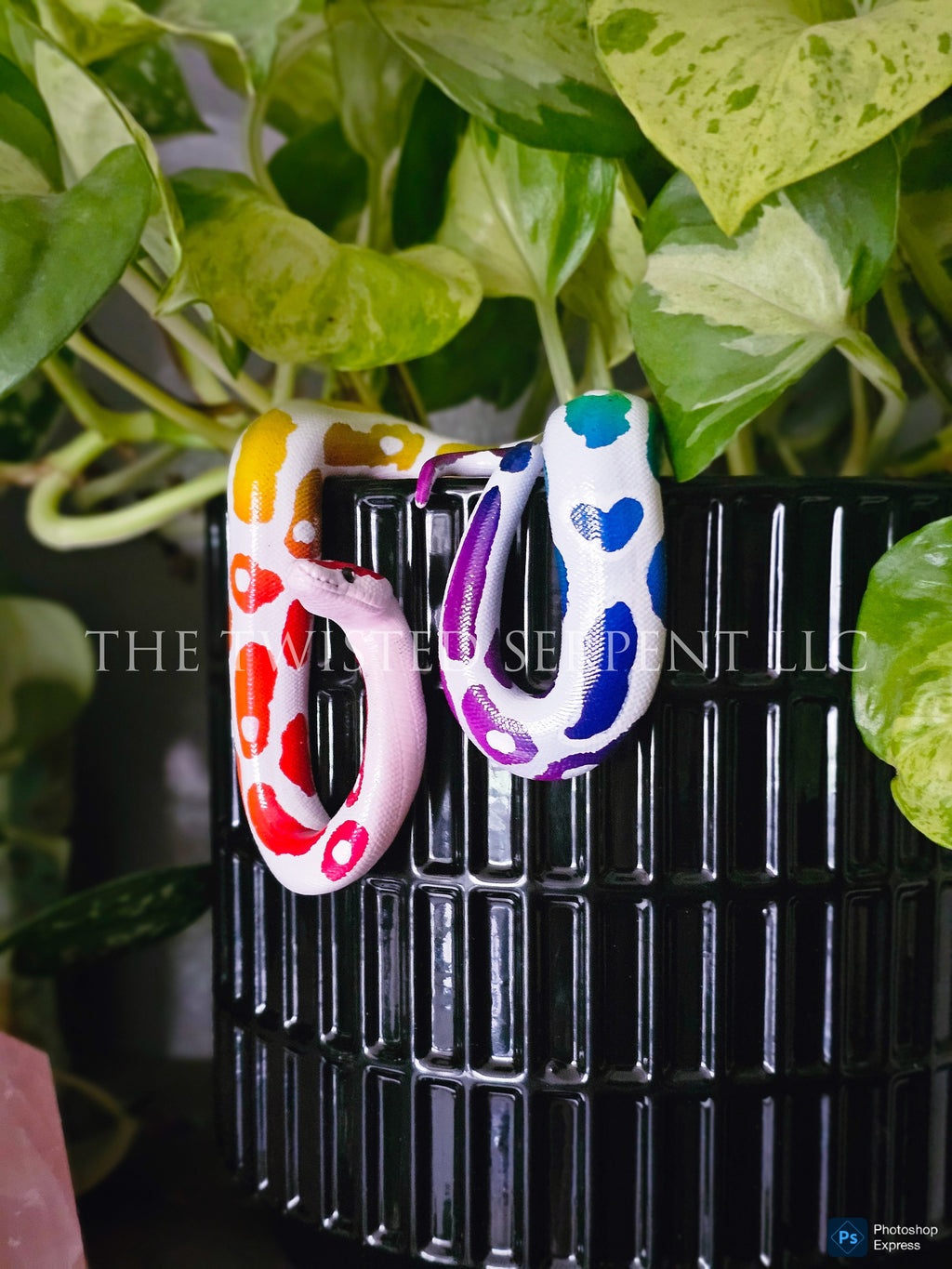 Rainbow Ball Python Pot Pal