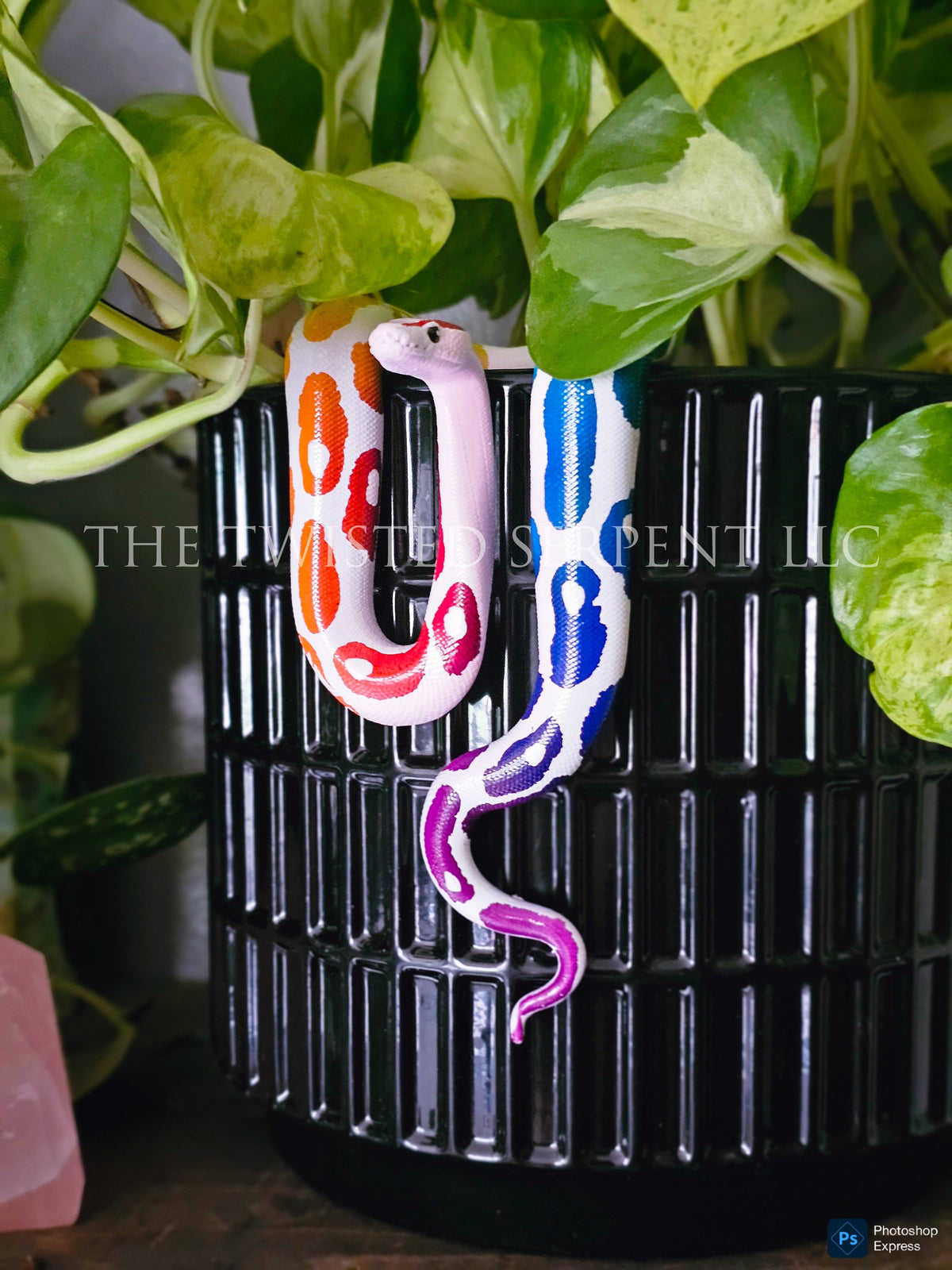 Rainbow Ball Python Pot Pal