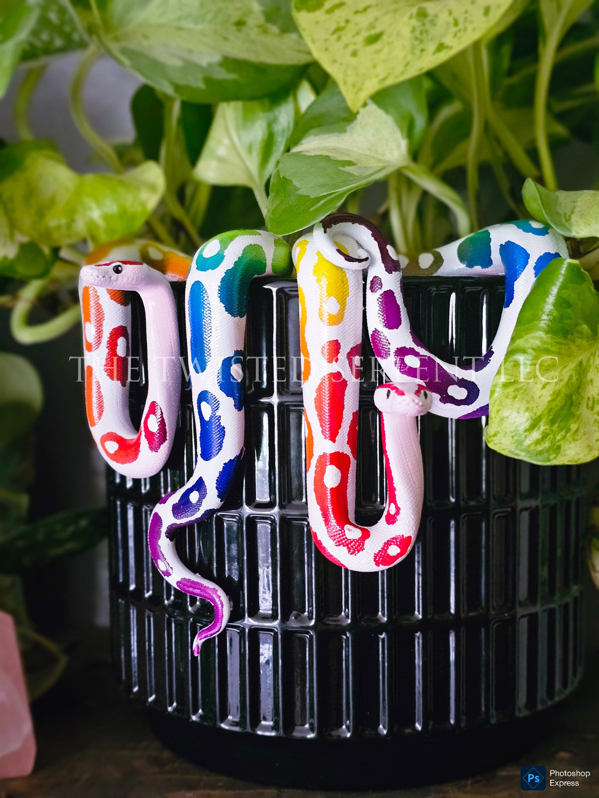 Rainbow Ball Python Pot Pal