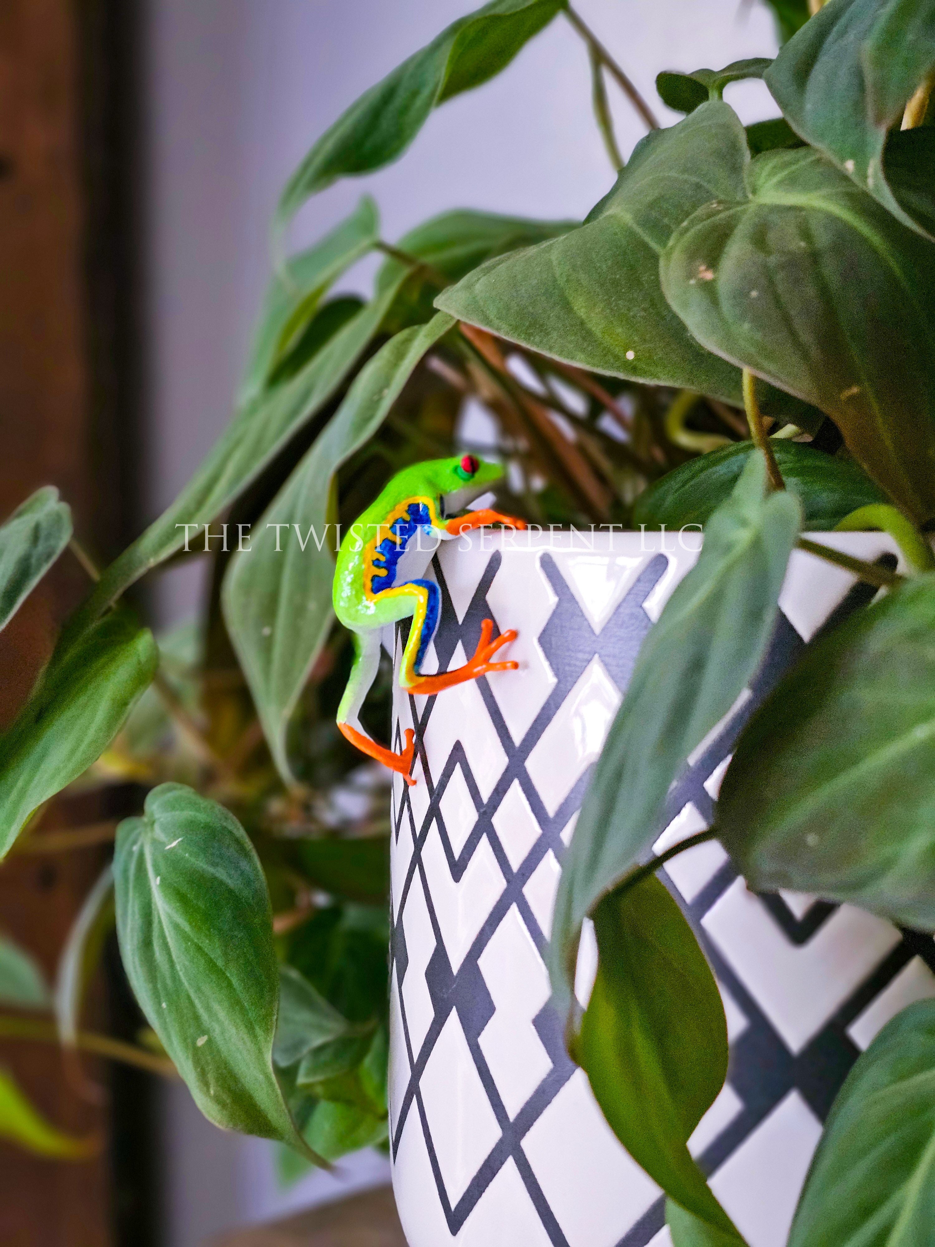 Red Eyed Tree Frog Pot Pal