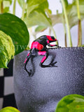 Red Lehmanns Dart Frog Pot Pal
