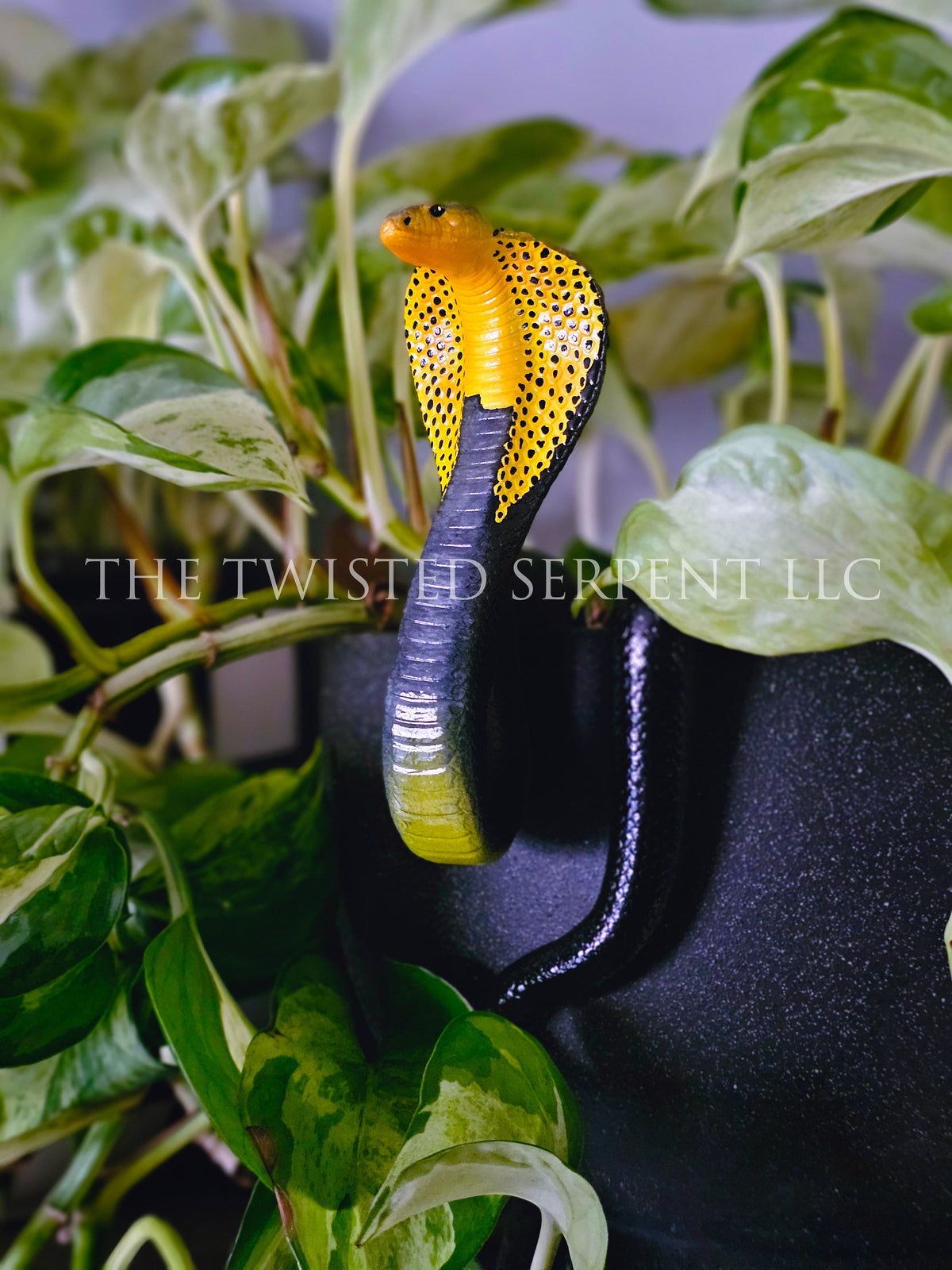 Samar Cobra Pot Pal