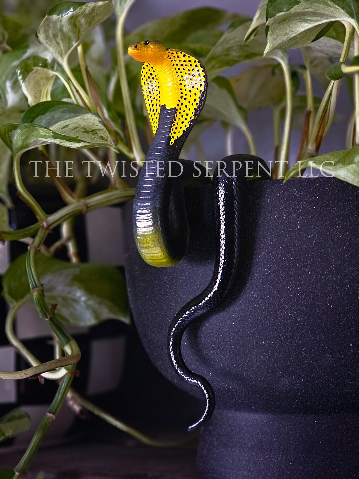 Samar Cobra Pot Pal