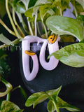 "Smiley" Piebald Ball Python Pot Pal