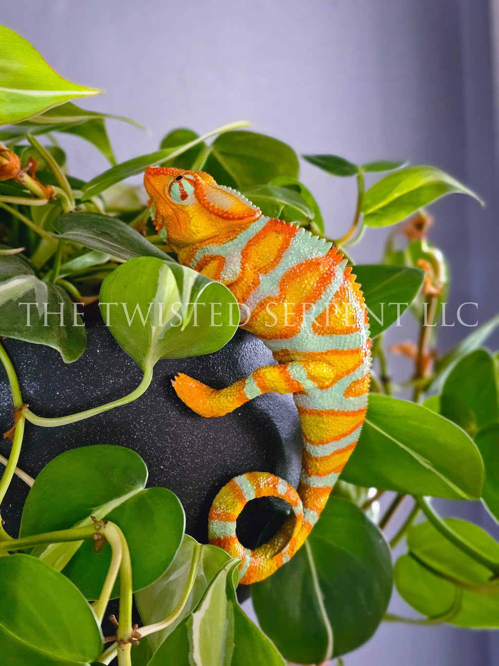 Tangerine Orange Panther Chameleon Pot Pal