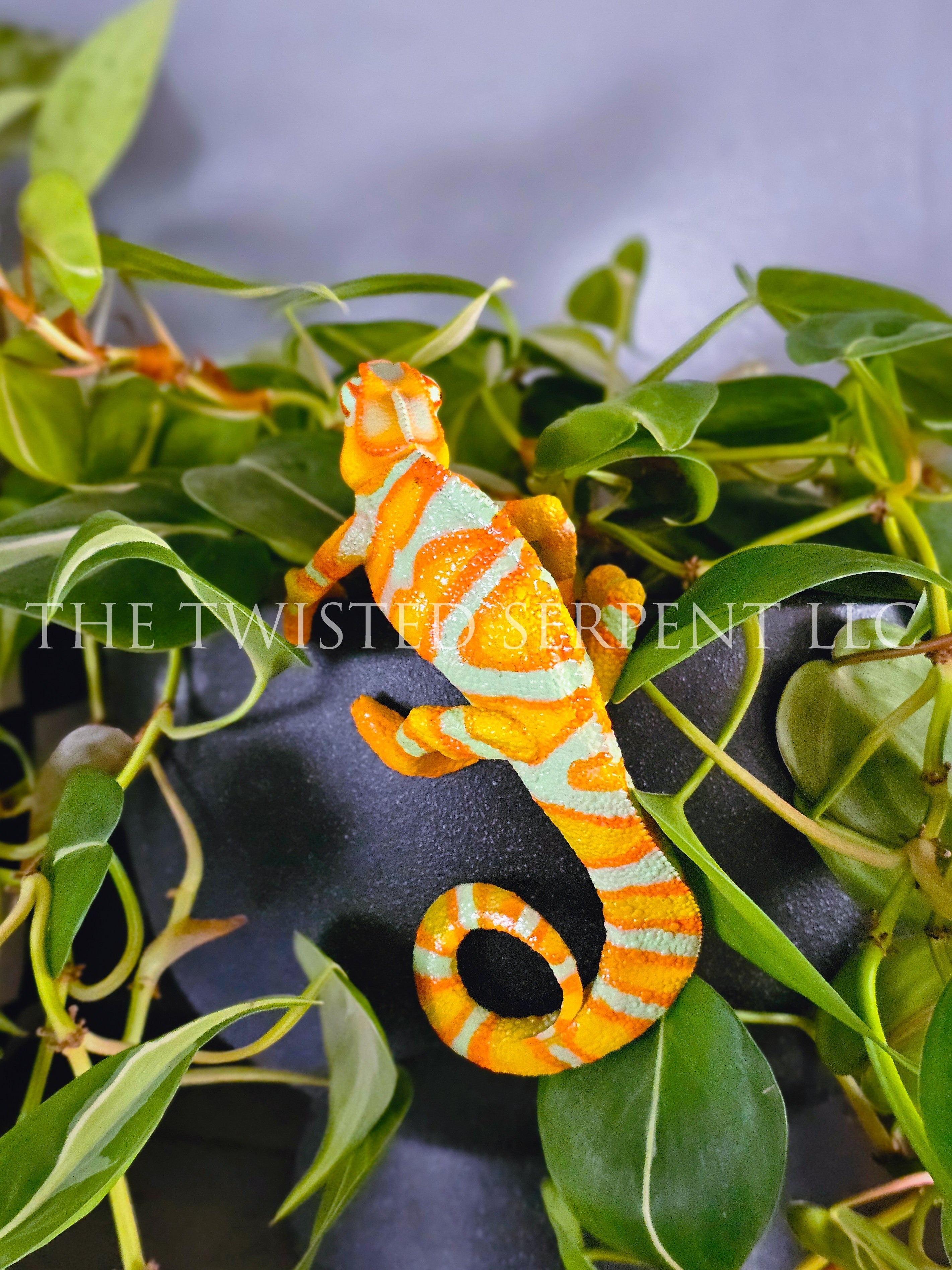 Tangerine Orange Panther Chameleon Pot Pal