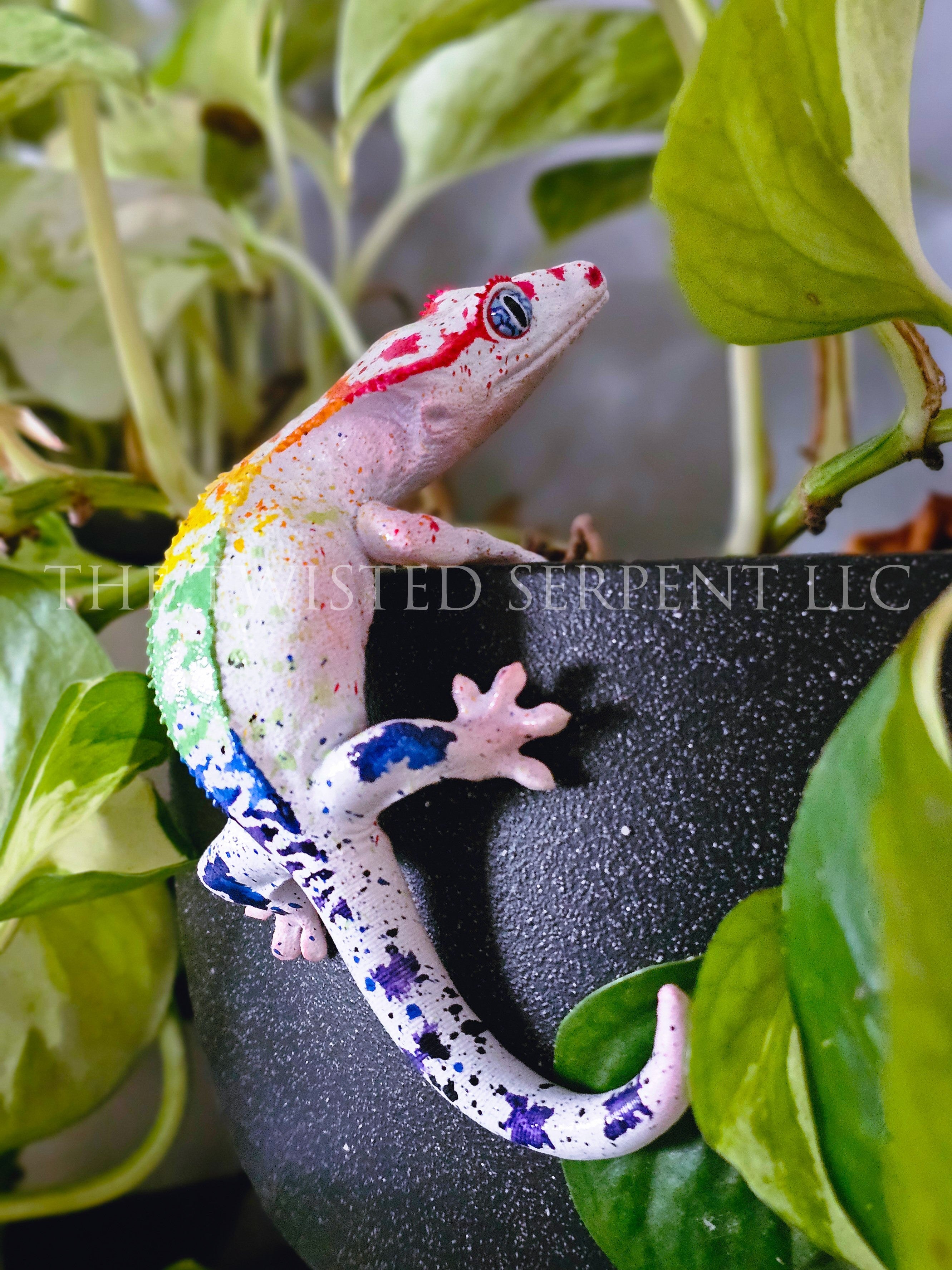 White Rainbow Crested Gecko Pot Pal