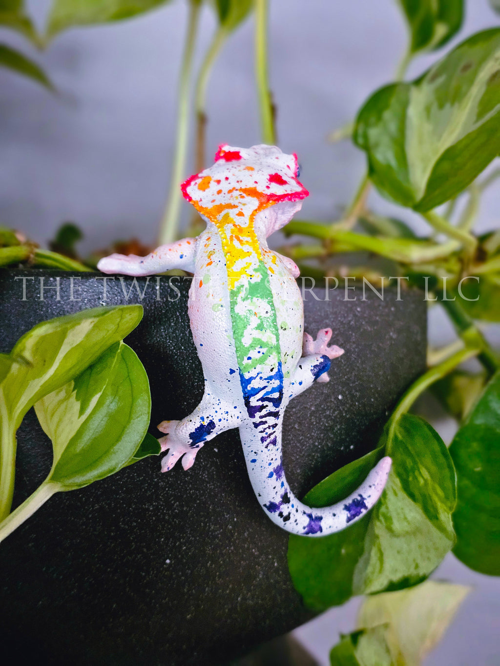 White Rainbow Crested Gecko Pot Pal