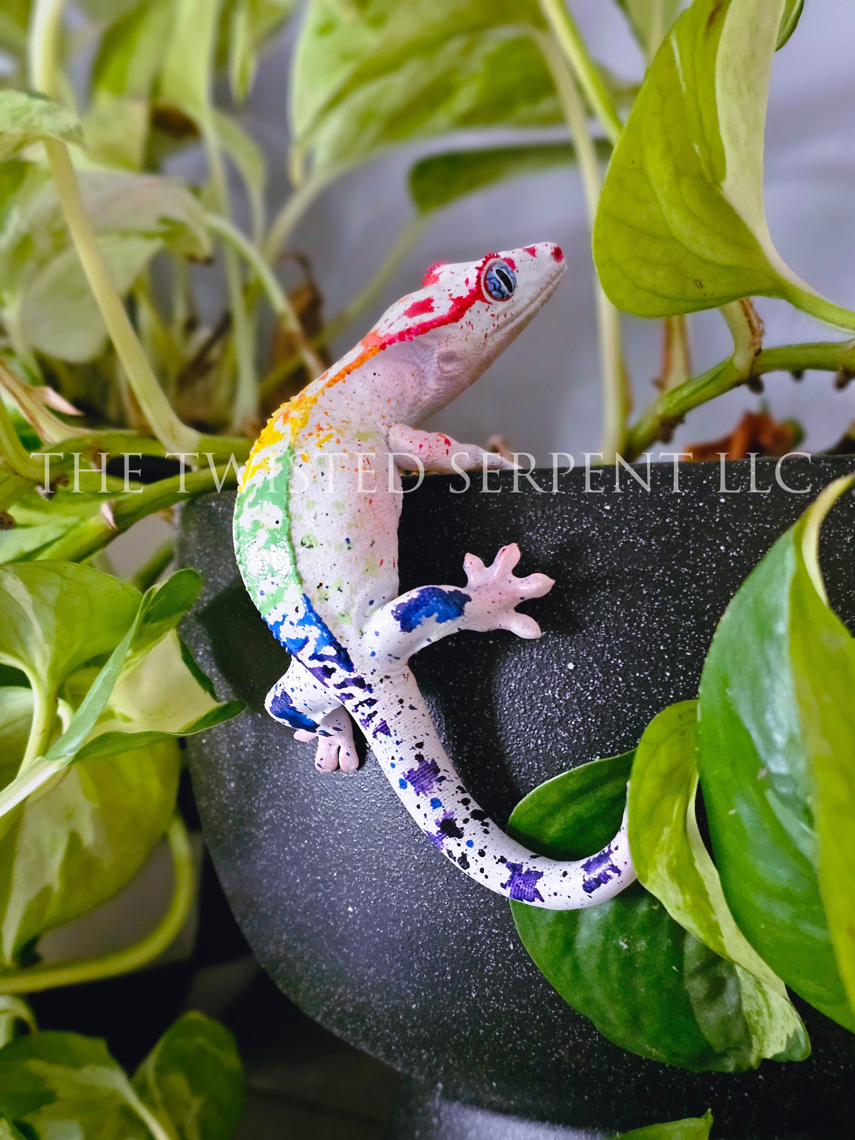 White Rainbow Crested Gecko Pot Pal