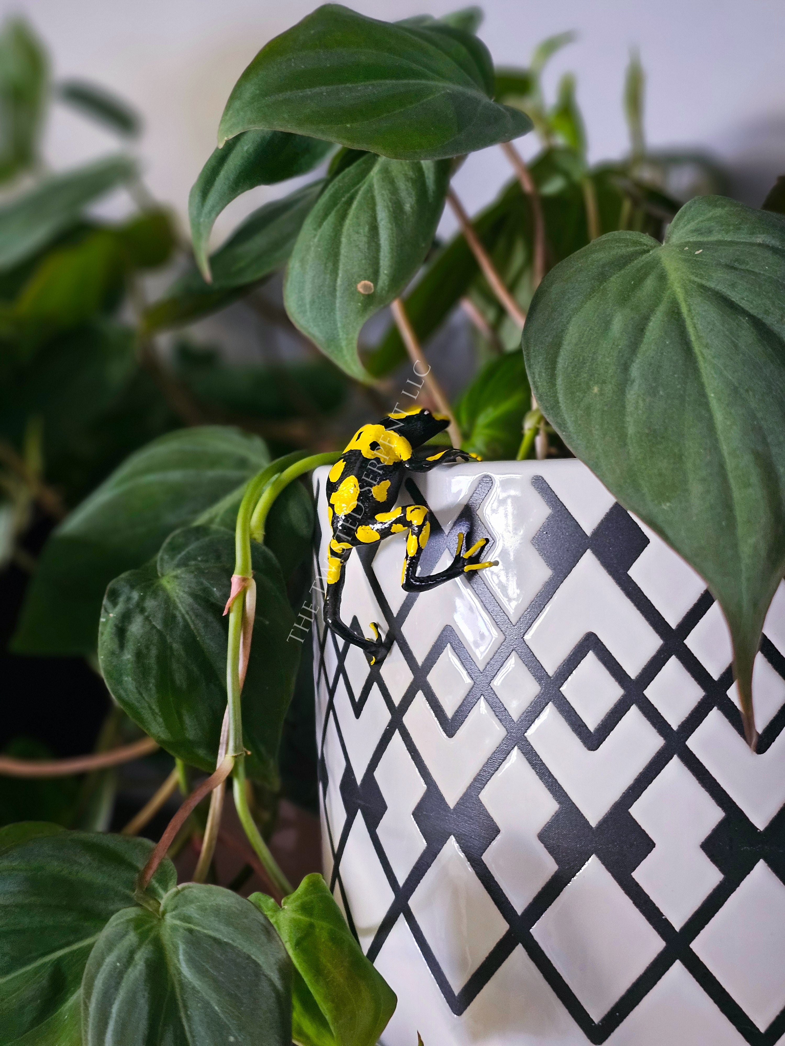 Yellow-Banded Dart Frog Pot Pal