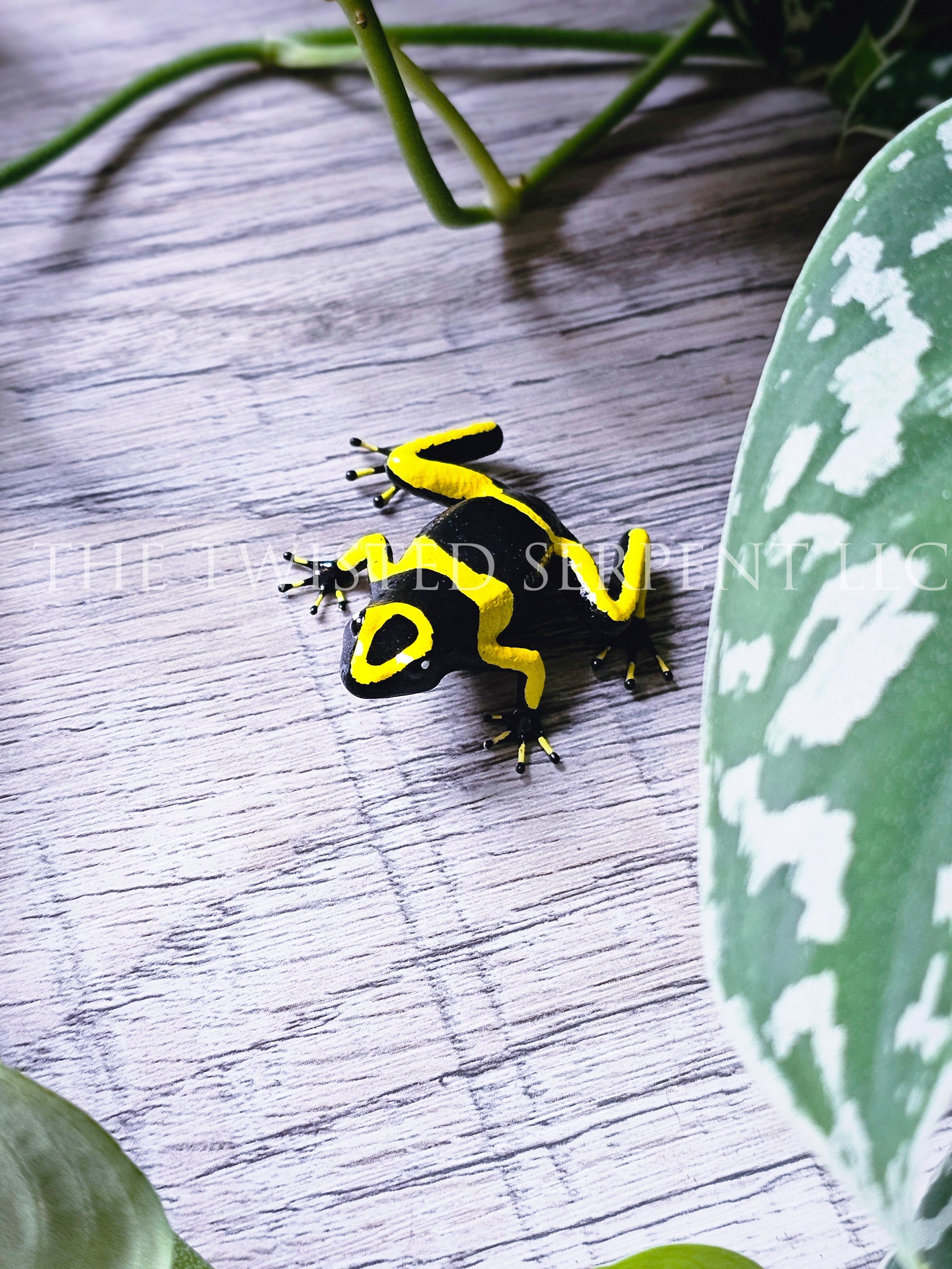 Yellow-Banded Dart Frog Tabletop